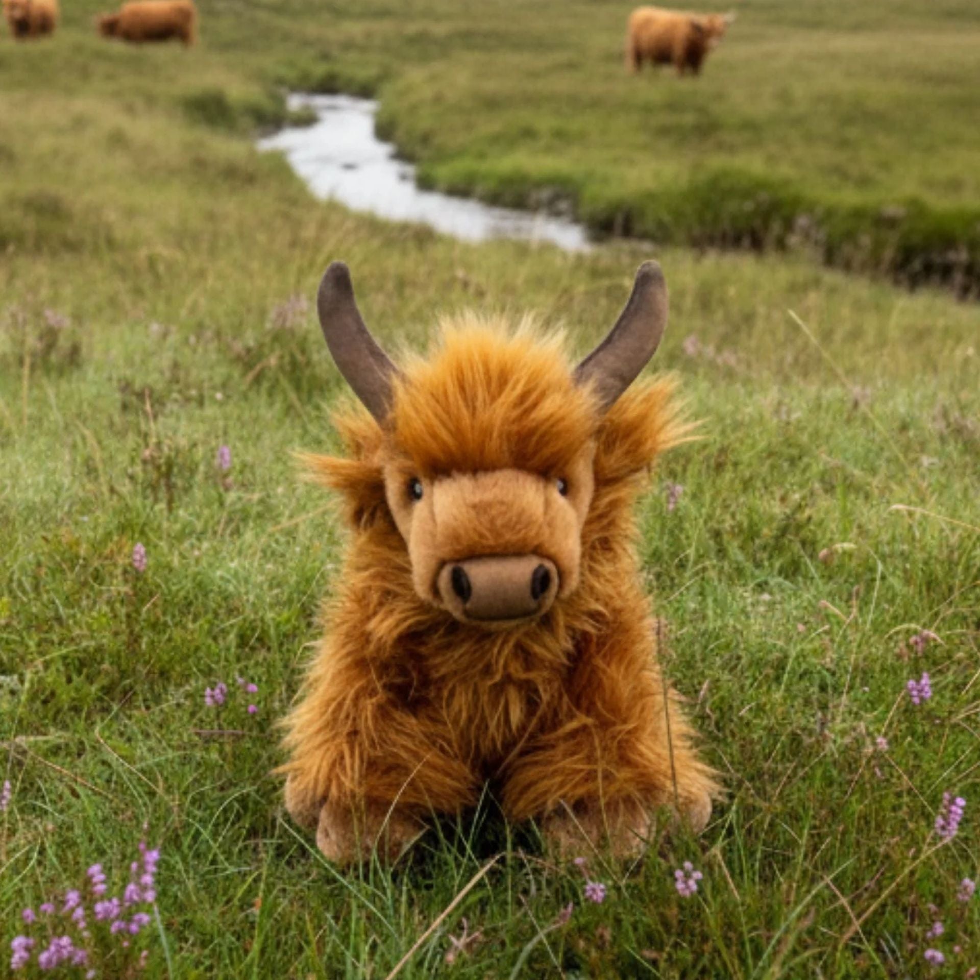 Bocchetta Plush Toys - Highland Cow 25cm Buttercup