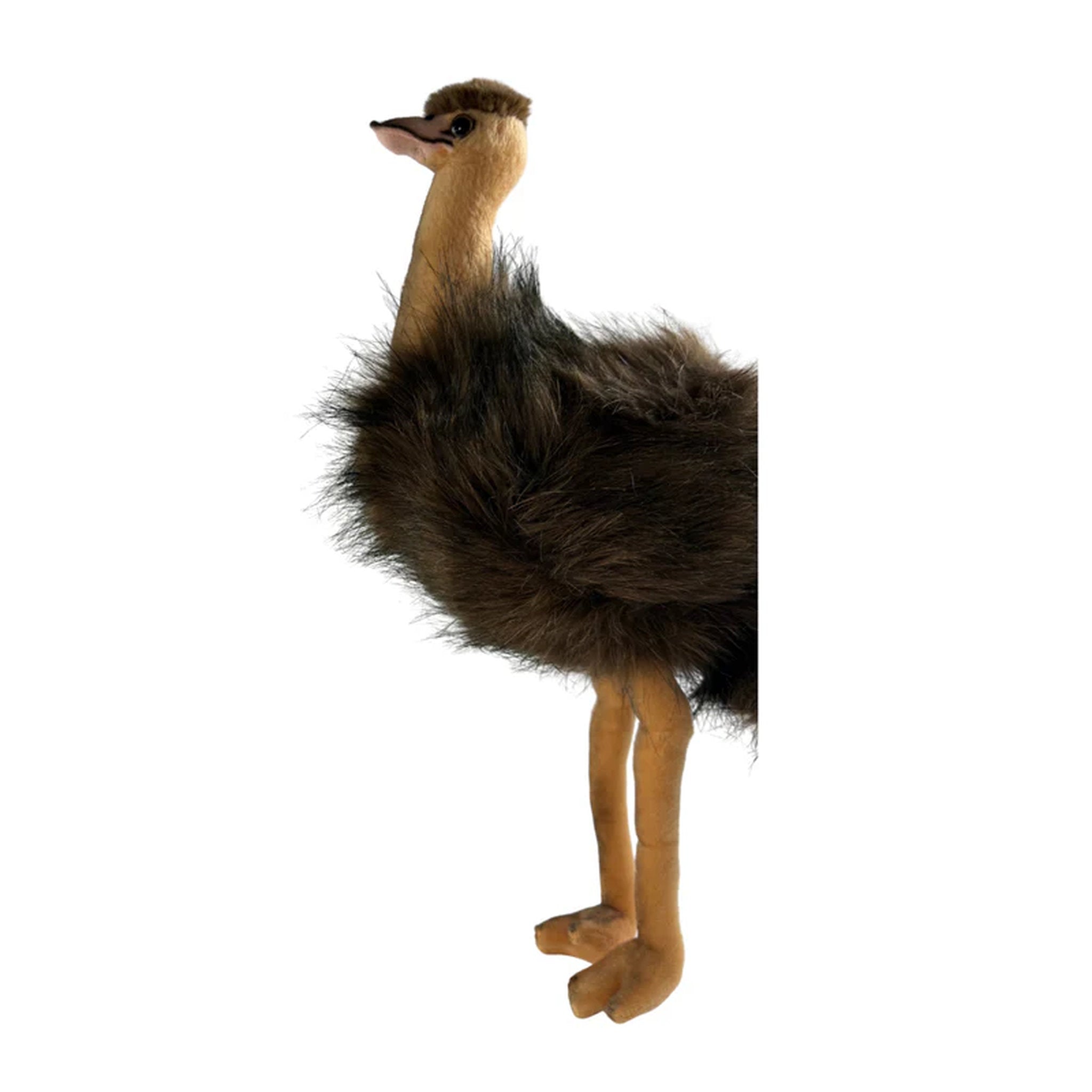 Bocchetta Plush Toys - Emu 25cm Penny