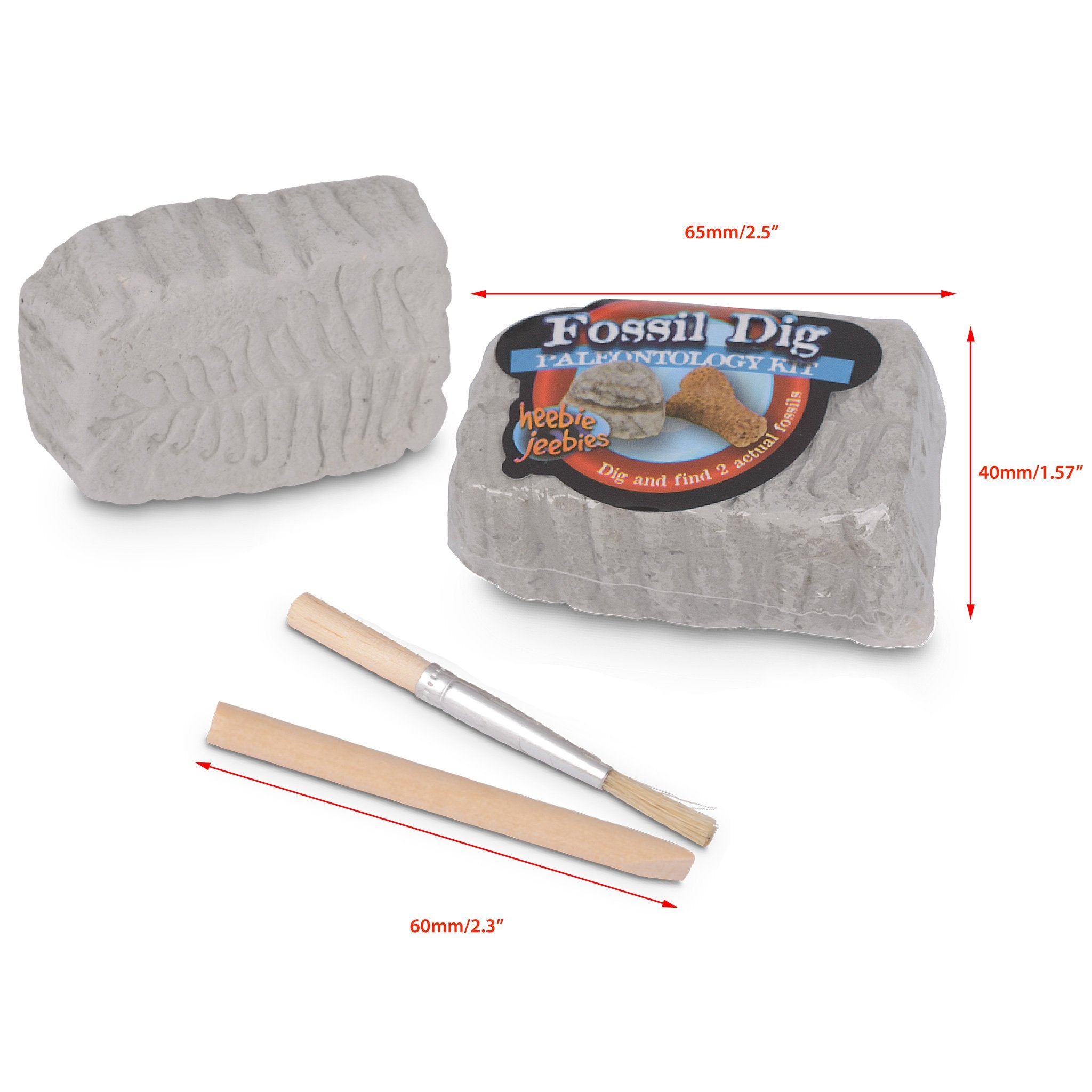 Heebie Jeebies Fossil Dig Paleontology Kit