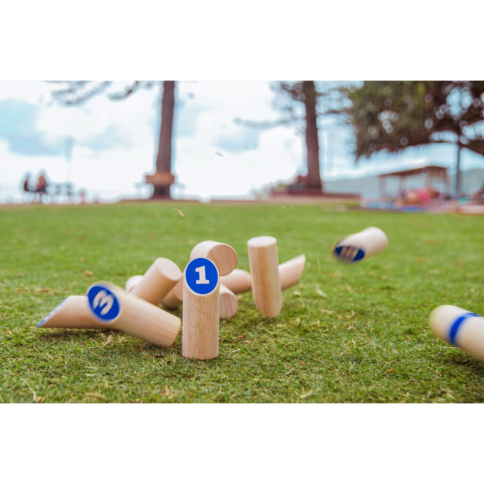 Formula Sports Wooden Number Toss