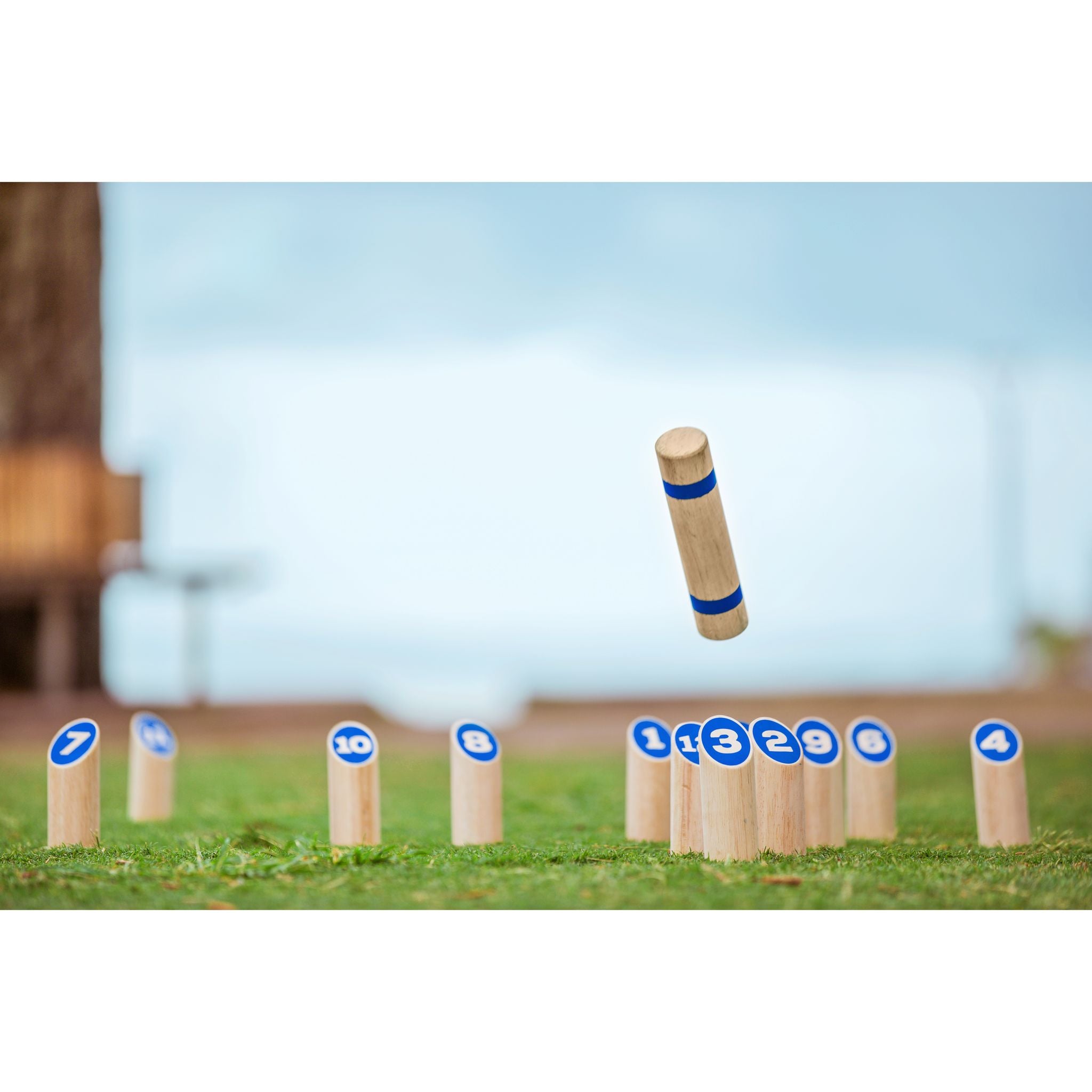 Formula Sports Wooden Number Toss