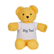 Play School Big Ted Plush 28cm - Toyworld Australia