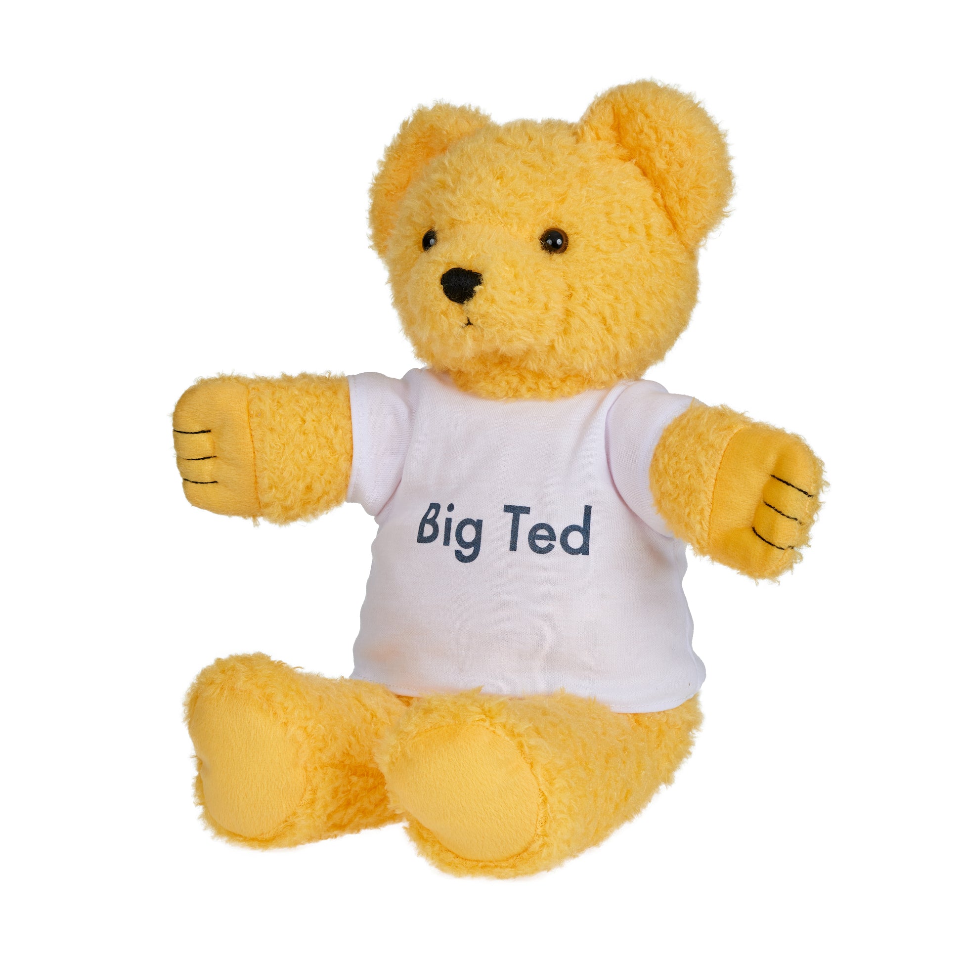 Play School Big Ted Plush 28cm - Toyworld Australia