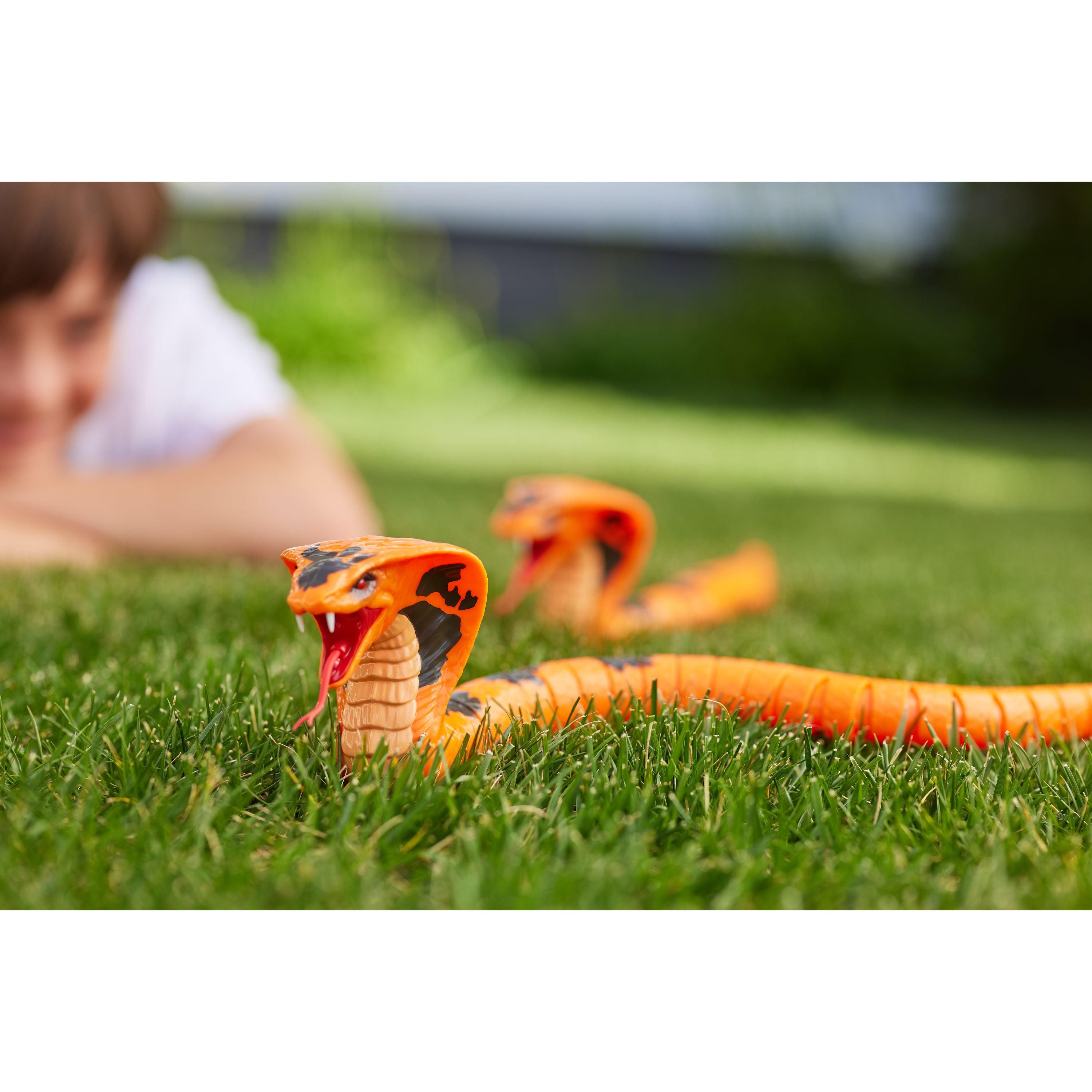 ZURU Robo Alive King Cobra