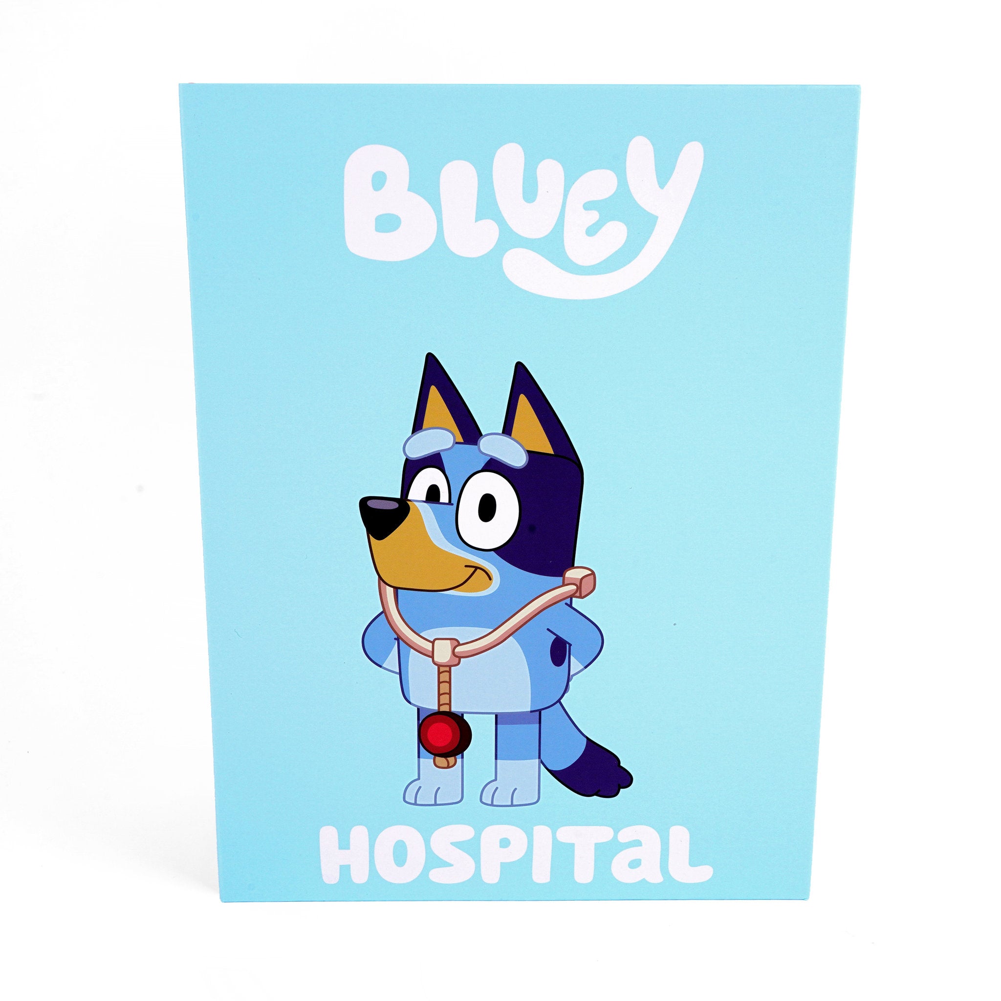 Bluey Hospital Wooden Role Play Accessory Set