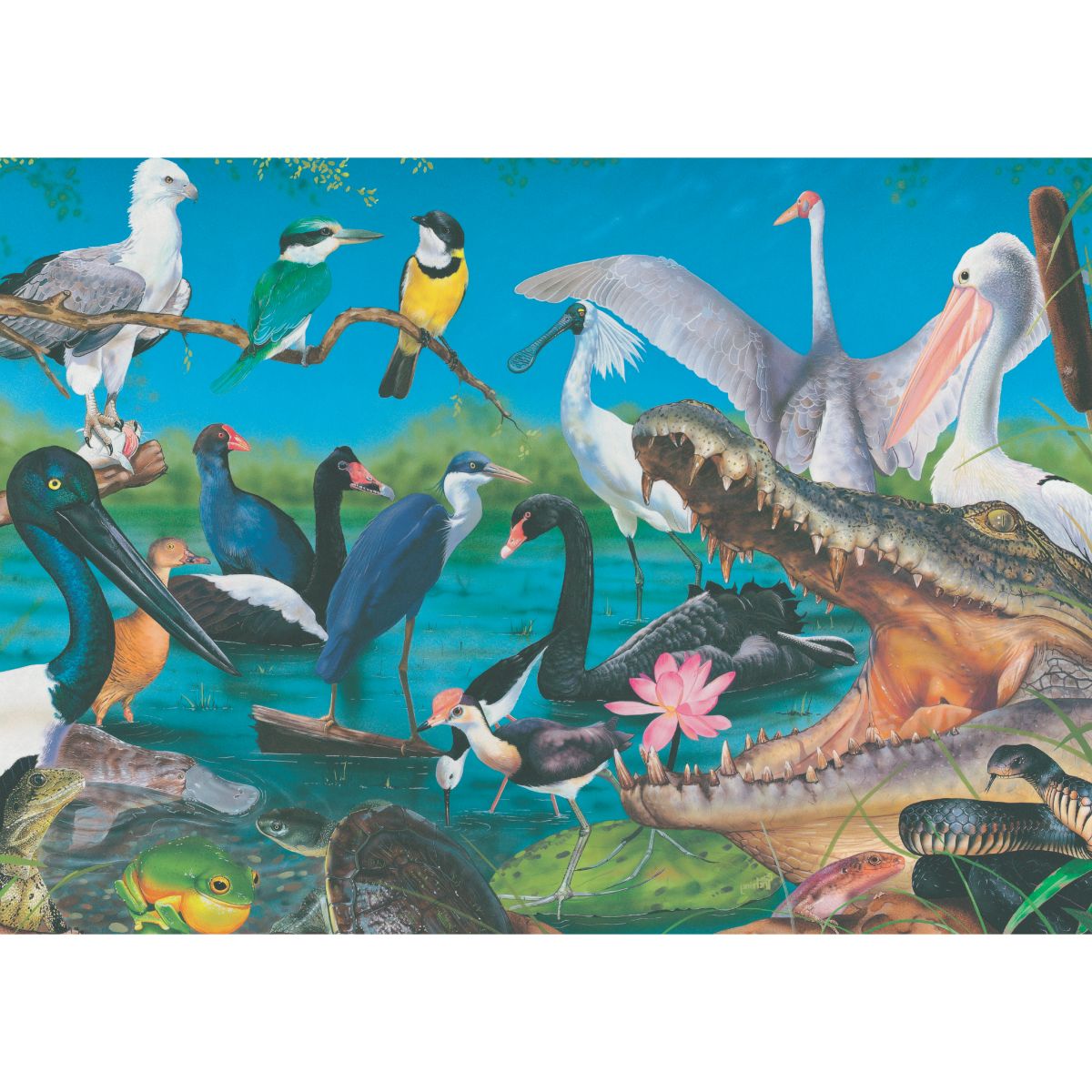 Blue Opal Wetlands & Marshes 1000 Piece - Toyworld Australia