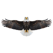 Brookite Bald Eagle Fun Kite - Toyworld Australia