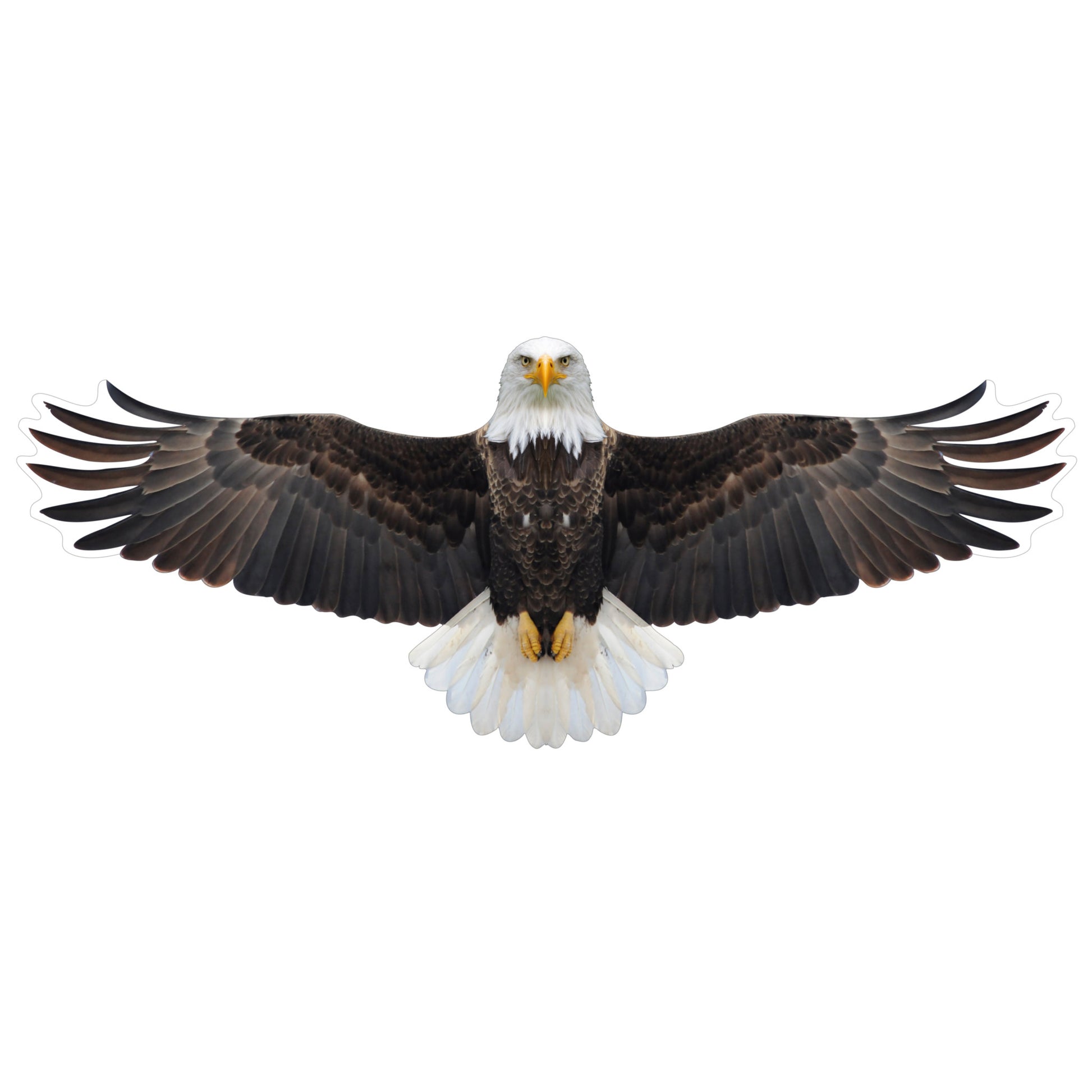 Brookite Bald Eagle Fun Kite - Toyworld Australia
