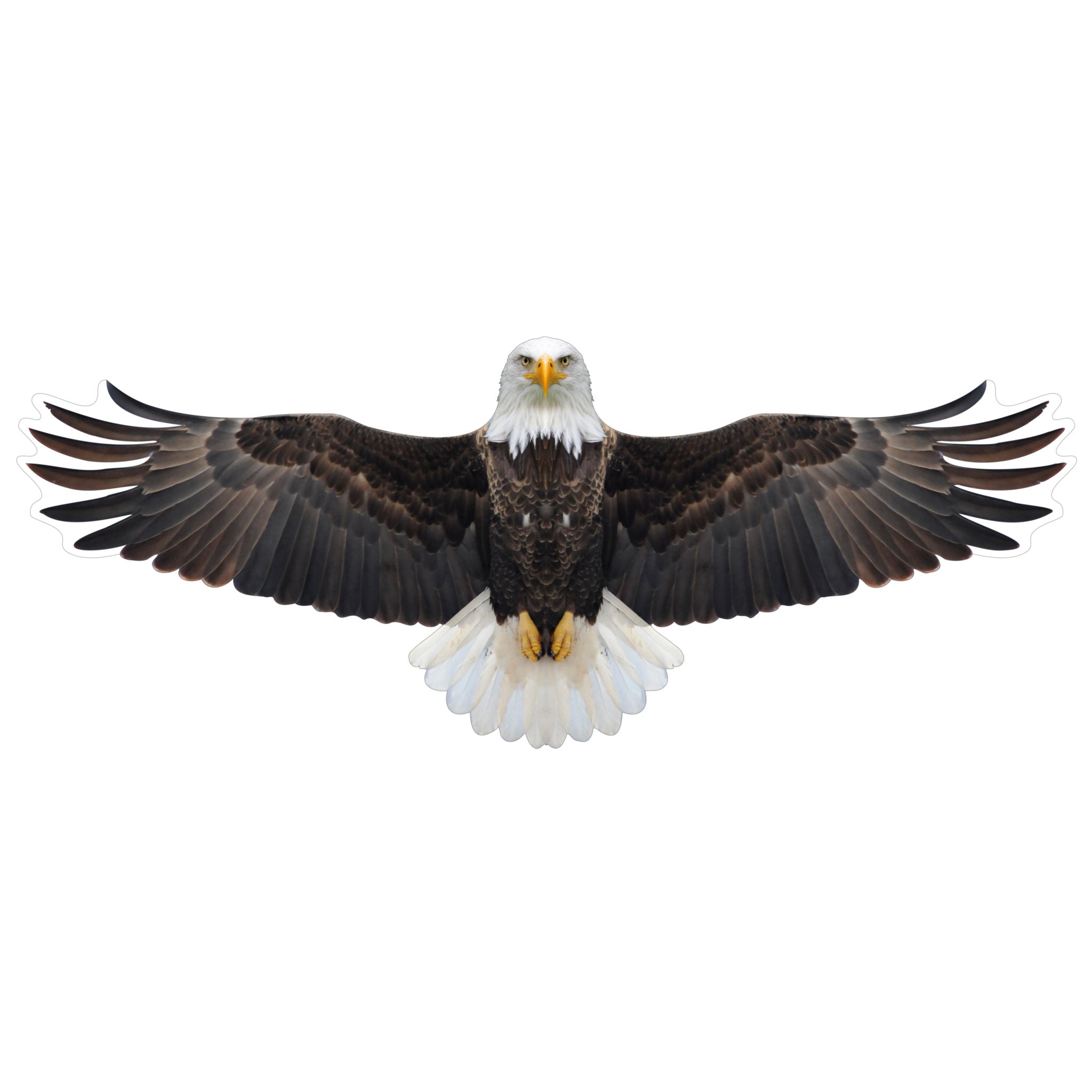 Brookite Bald Eagle Fun Kite