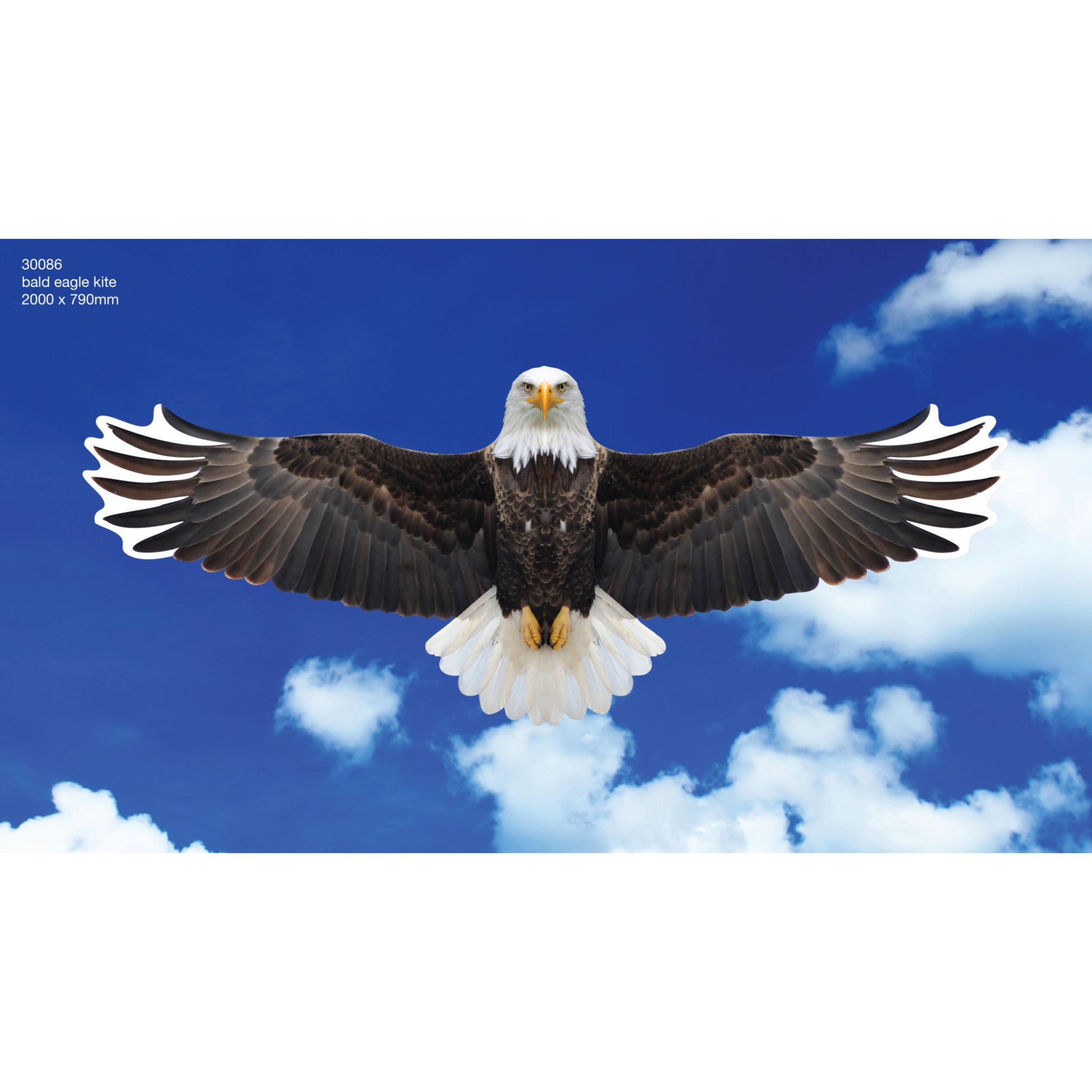 Brookite Bald Eagle Fun Kite - Toyworld Australia