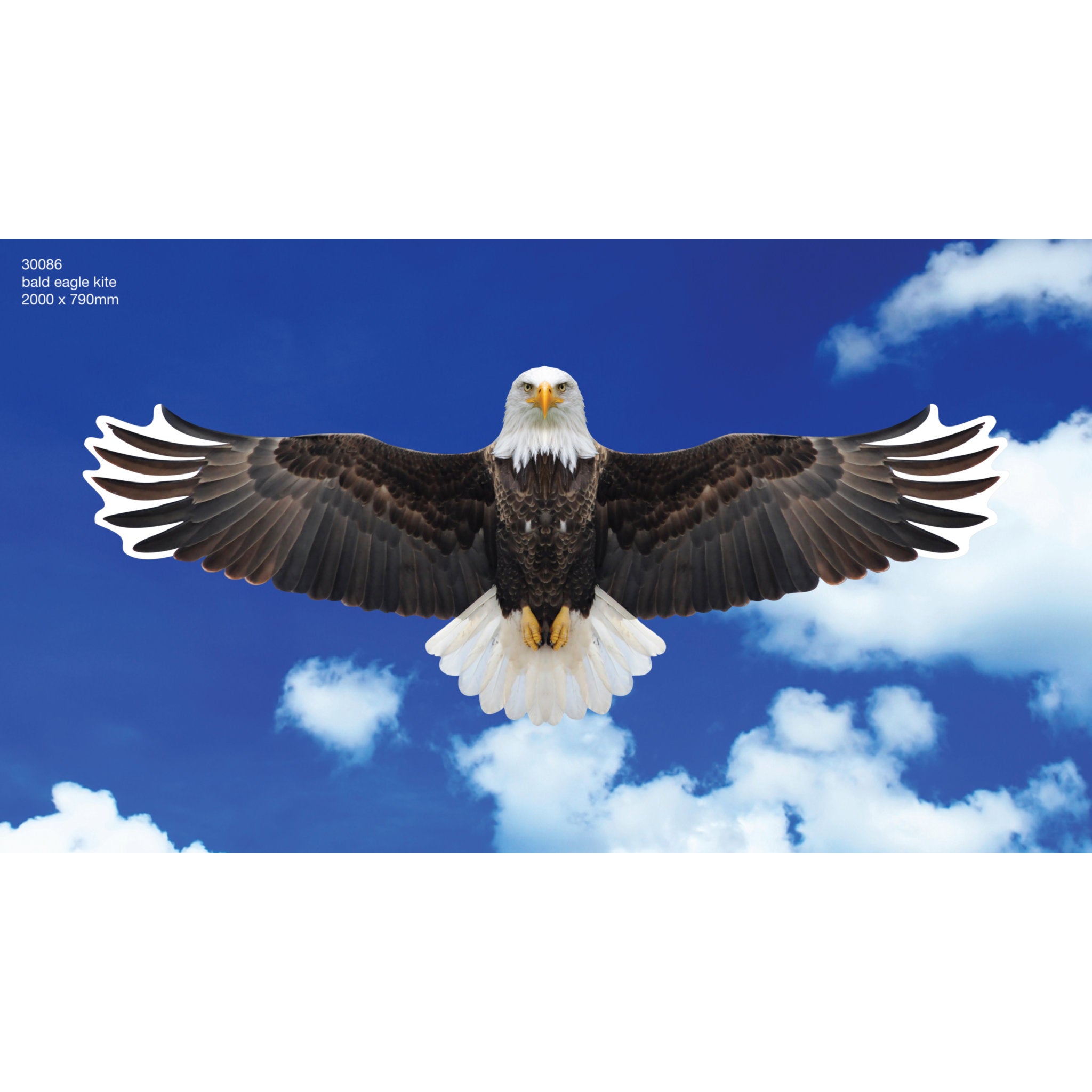 Brookite Bald Eagle Fun Kite