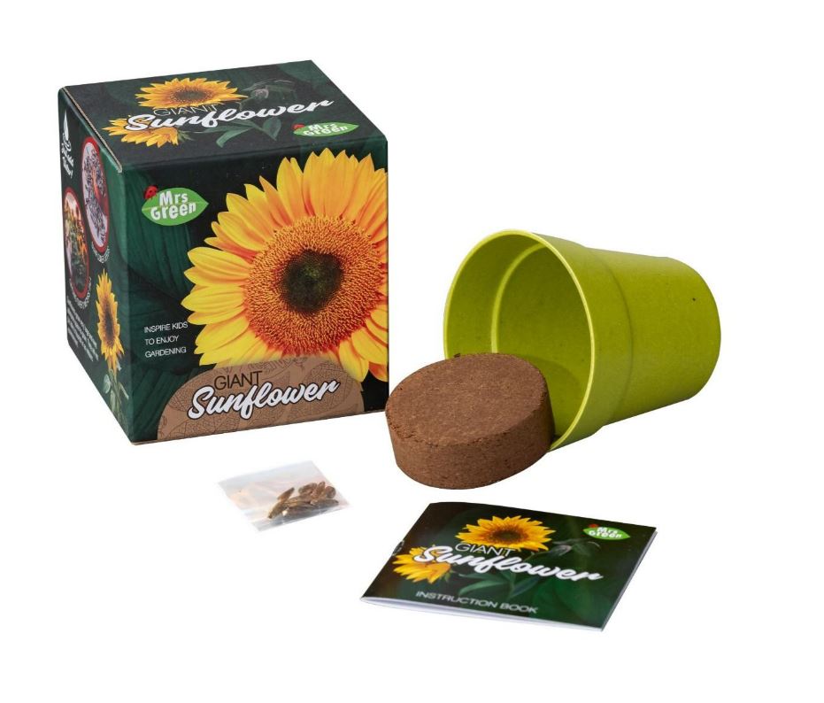 Mrs Green Giant Sunflower