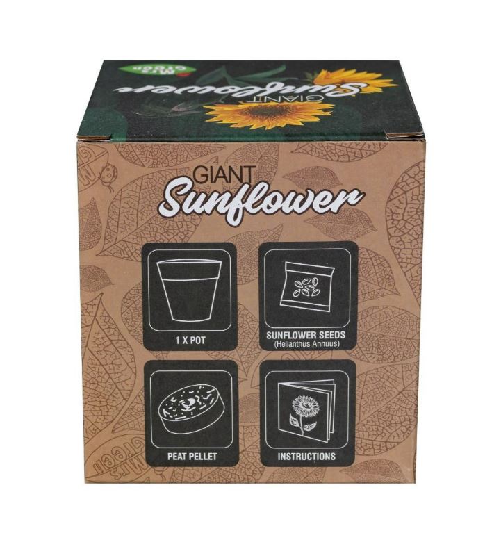 Mrs Green Giant Sunflower