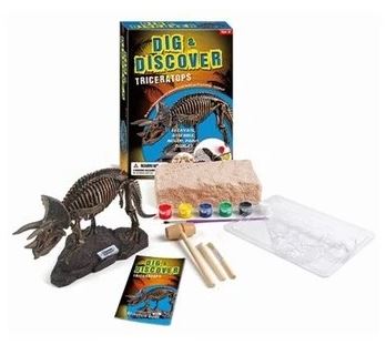 Dig & Discover Dinosaur Excavation Kit Assorted Styles