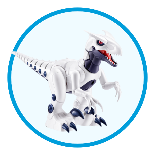 Engineering & Robotics