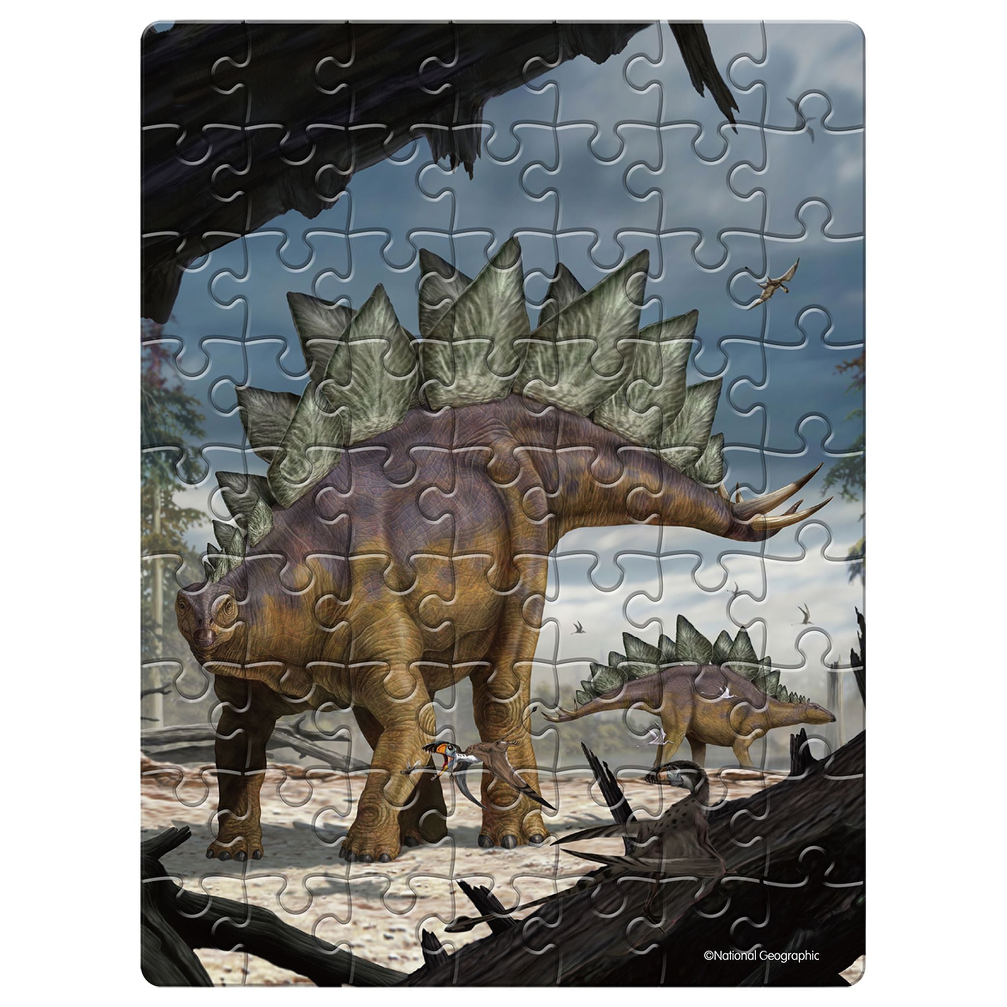 National Geographic 63 Piece Puzzle In Egg - Stegosaurus
