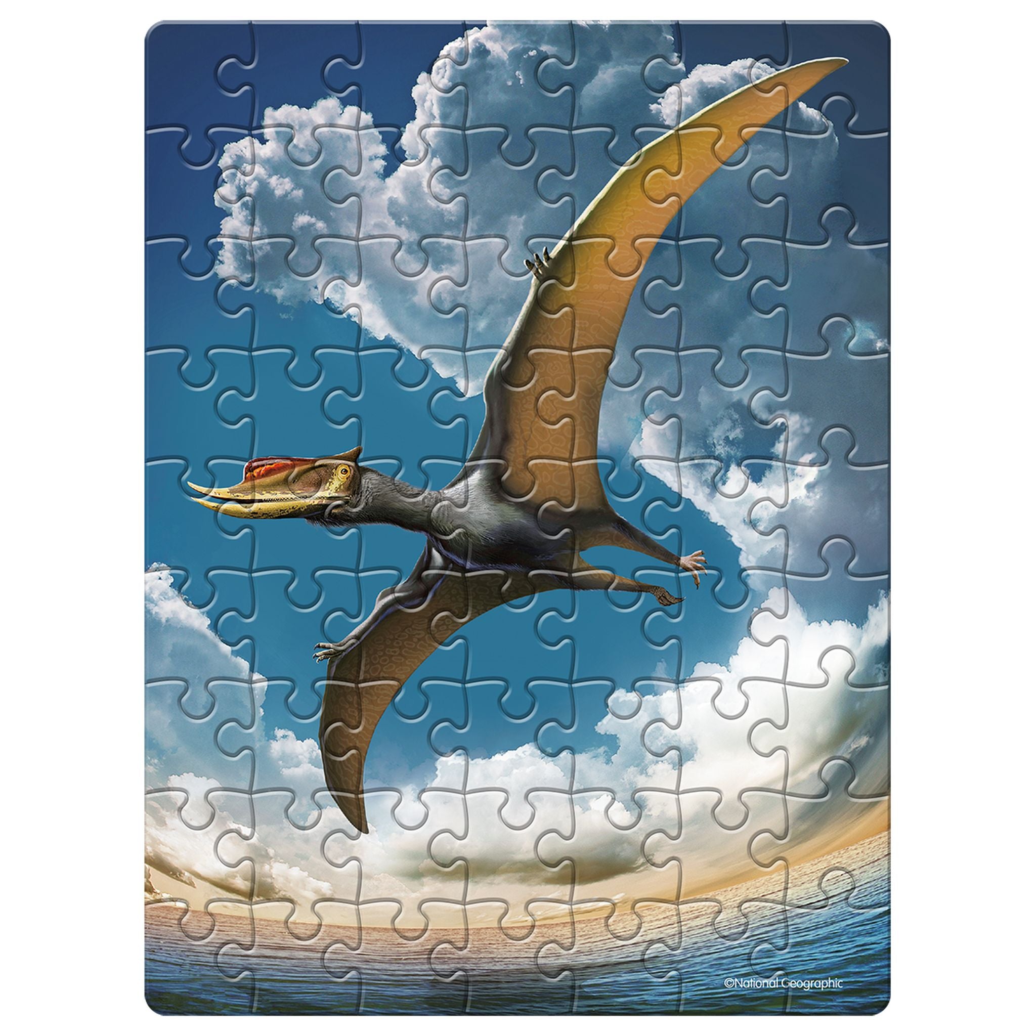 National Geographic 63 Piece Puzzle In Egg - Pterosaur