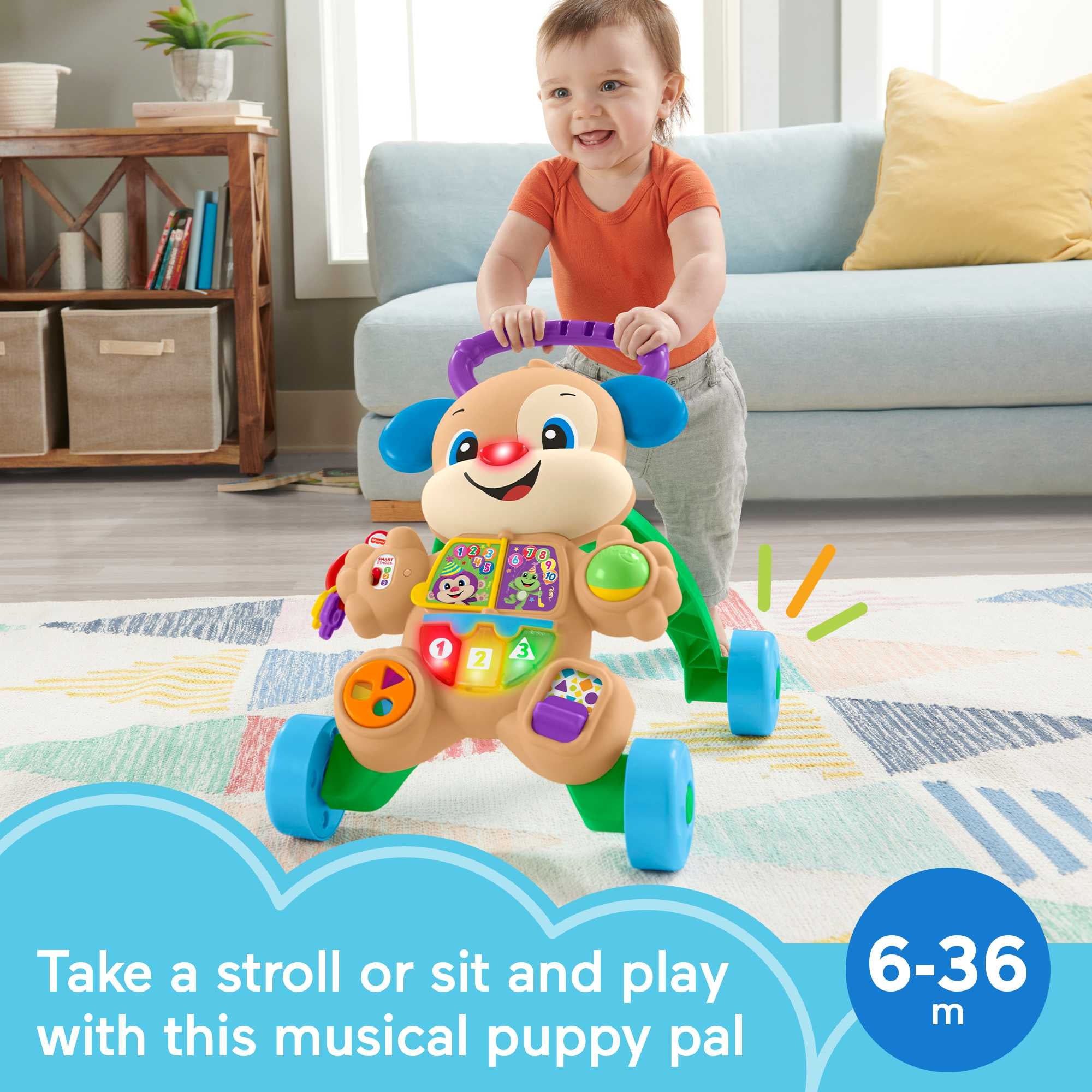 Fisher-Price Laugh & Learn Learn With Puppy Walker Boy