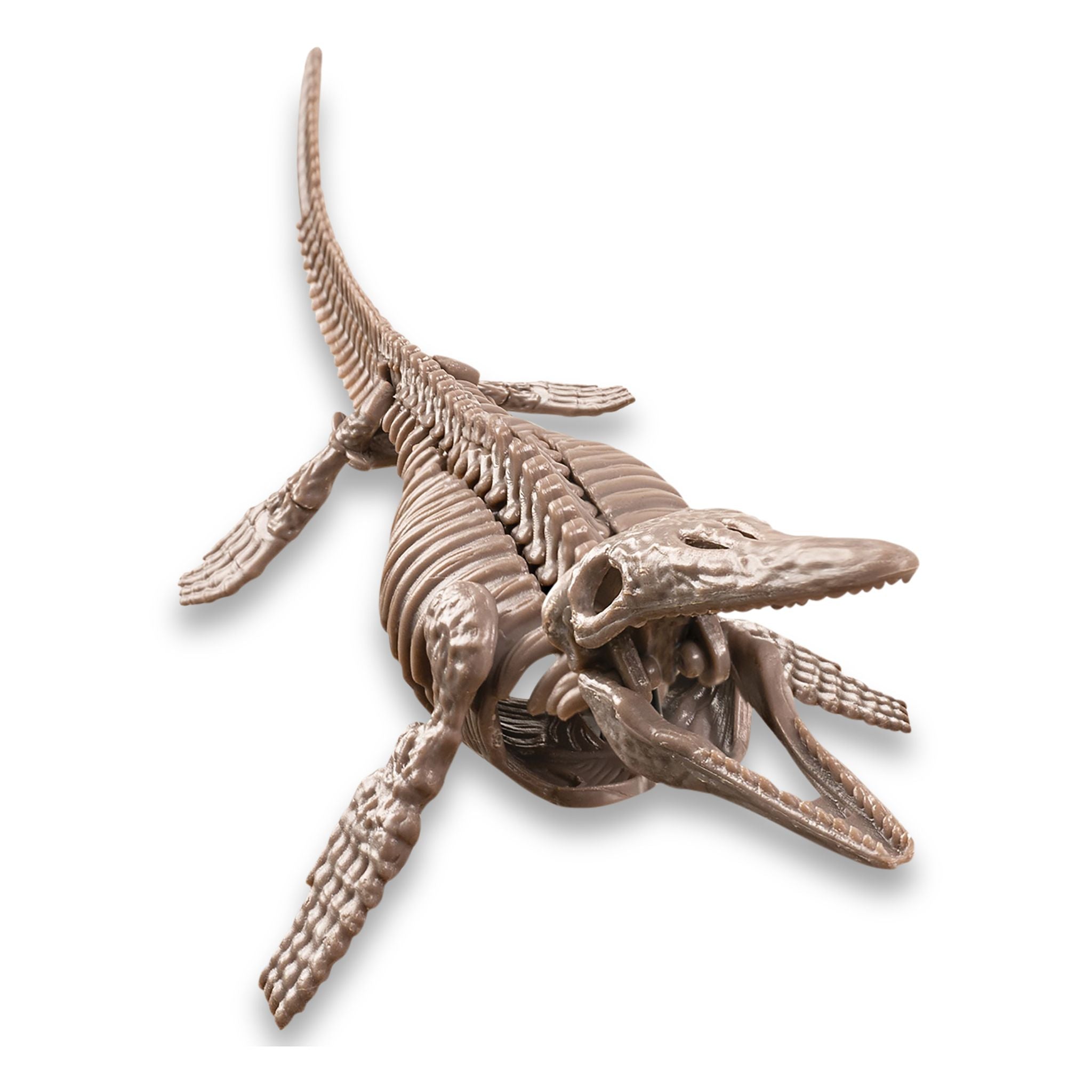 4M KidzLabs Dig A Mosasaurus Skeleton
