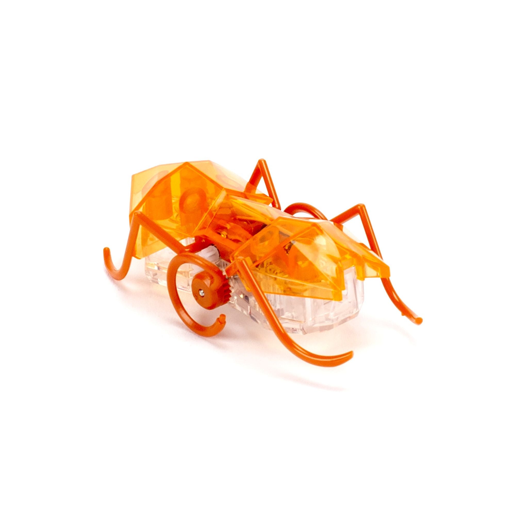 HEXBUG Micro Ant - Orange