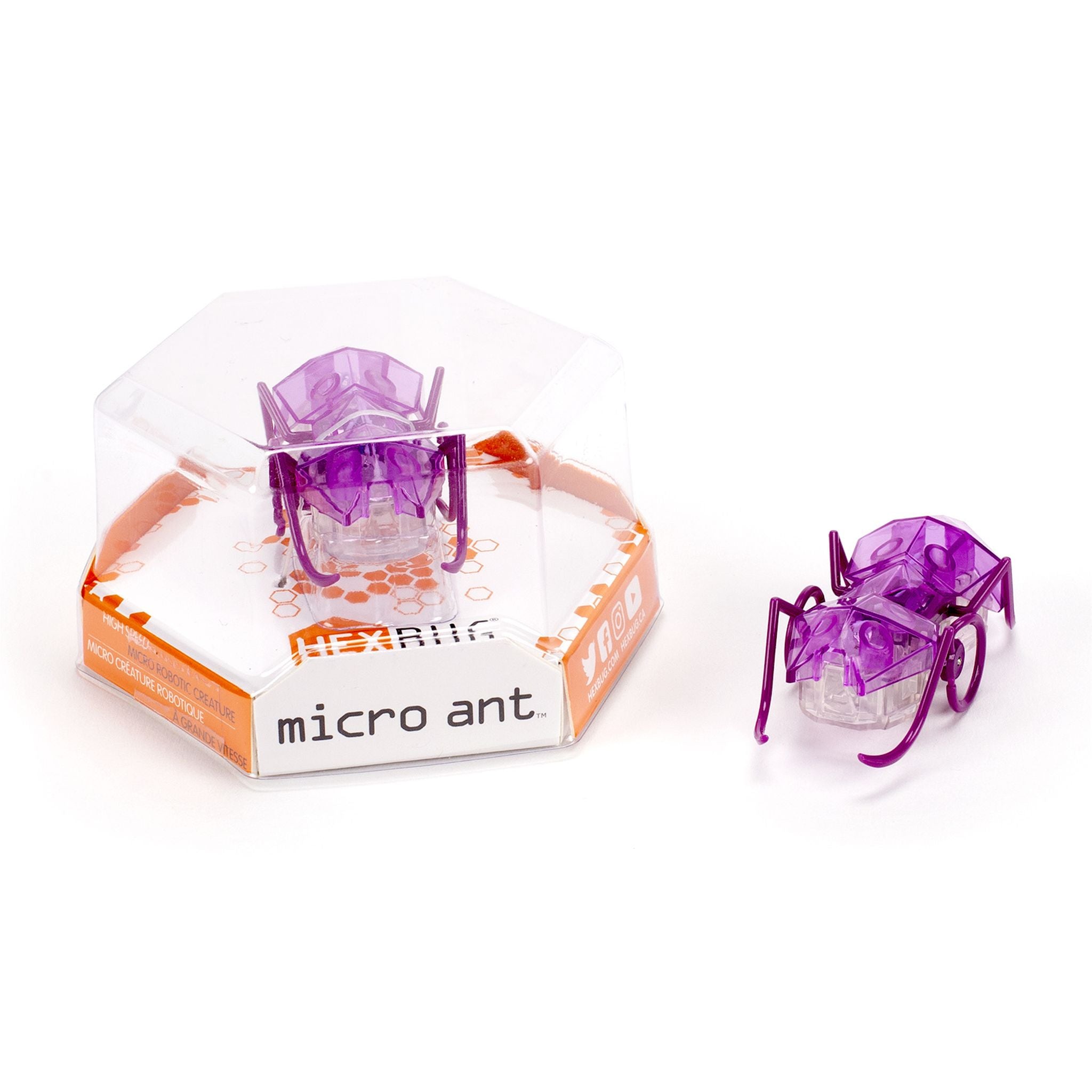 HEXBUG Micro Ant - Purple