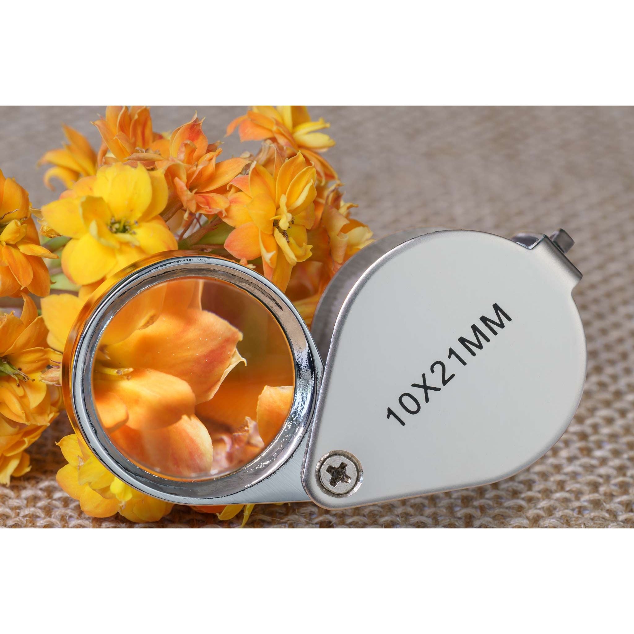 Heebie Jeebies Field Magnifier