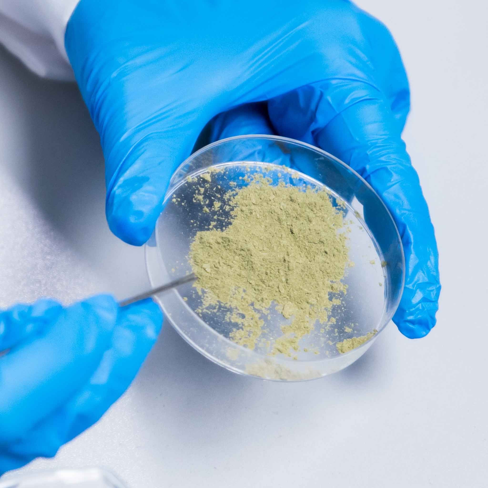 Heebie Jeebies Revolting Science