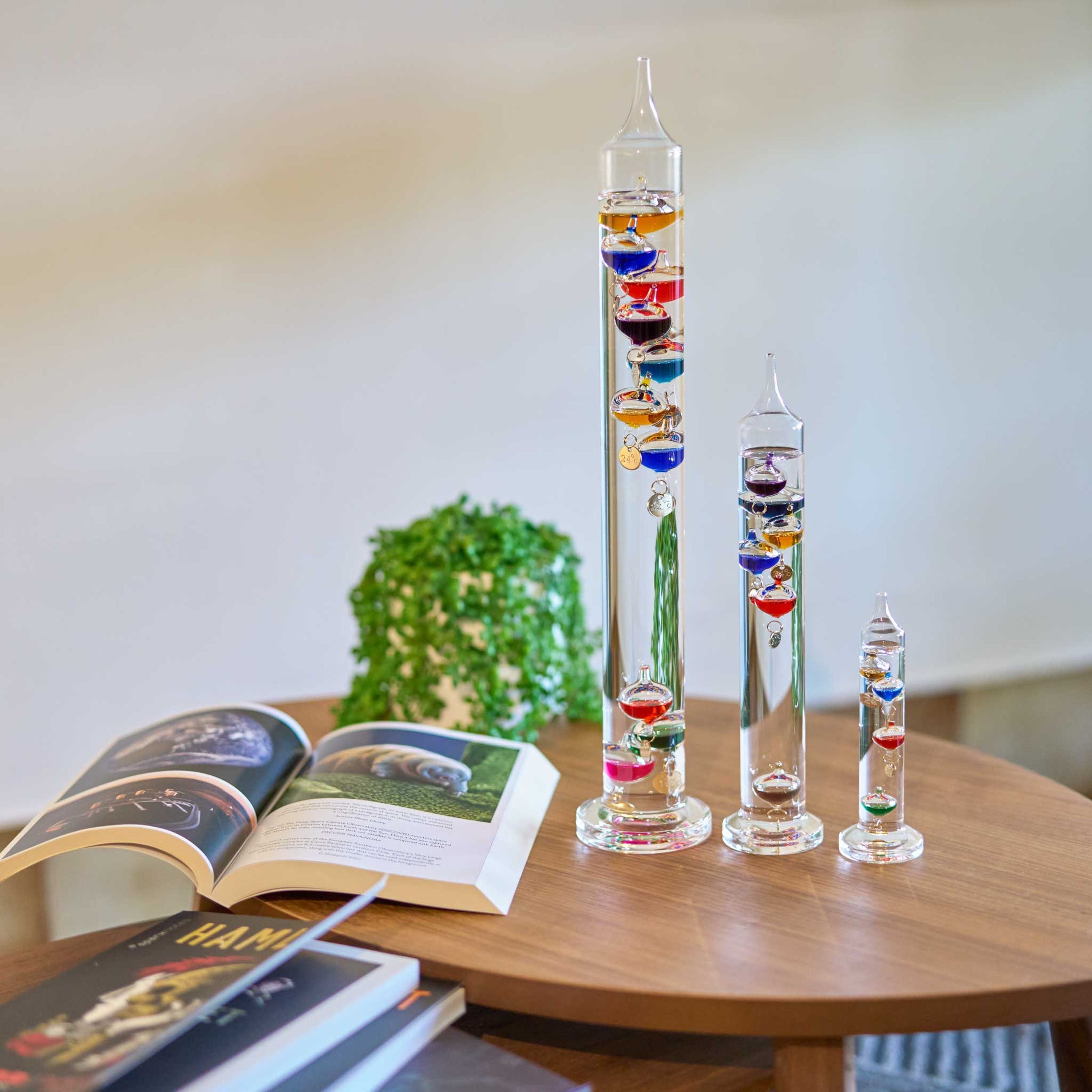 Heebie Jeebies Mini Galileo Thermometer