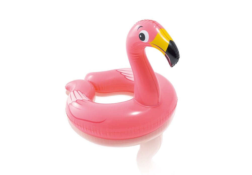 Intex Preschool Animal Split Rings Assorted Styles - Toyworld Australia