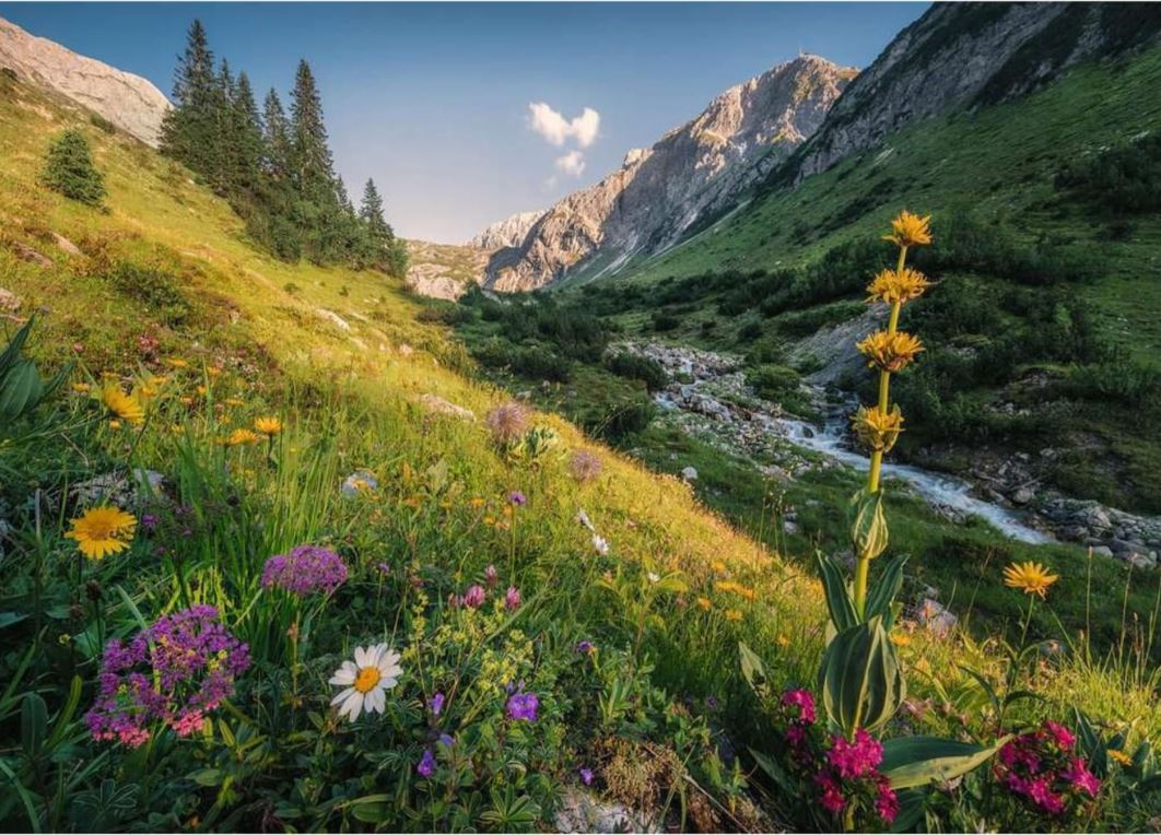 Ravensburger Magical Valley 1000 Piece - Toyworld Australia