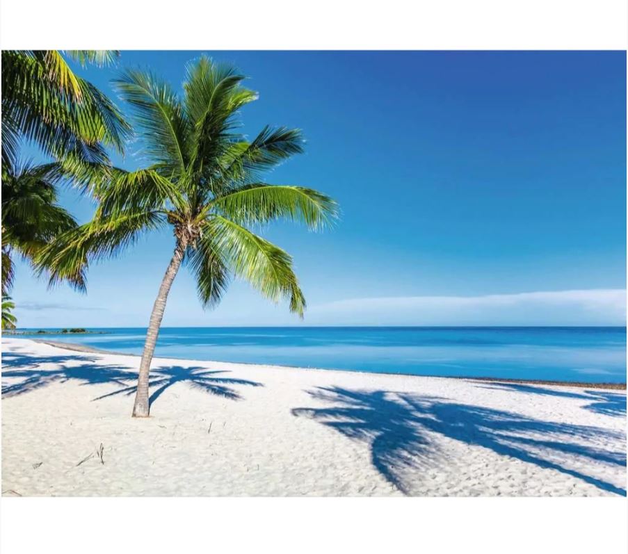 Ravensburger Beach Escape 1000 Piece