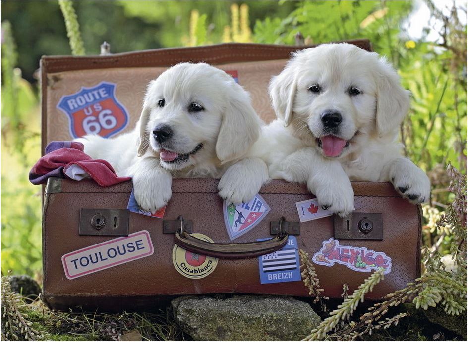 Ravensburger Travelling Puppies 100 Piece