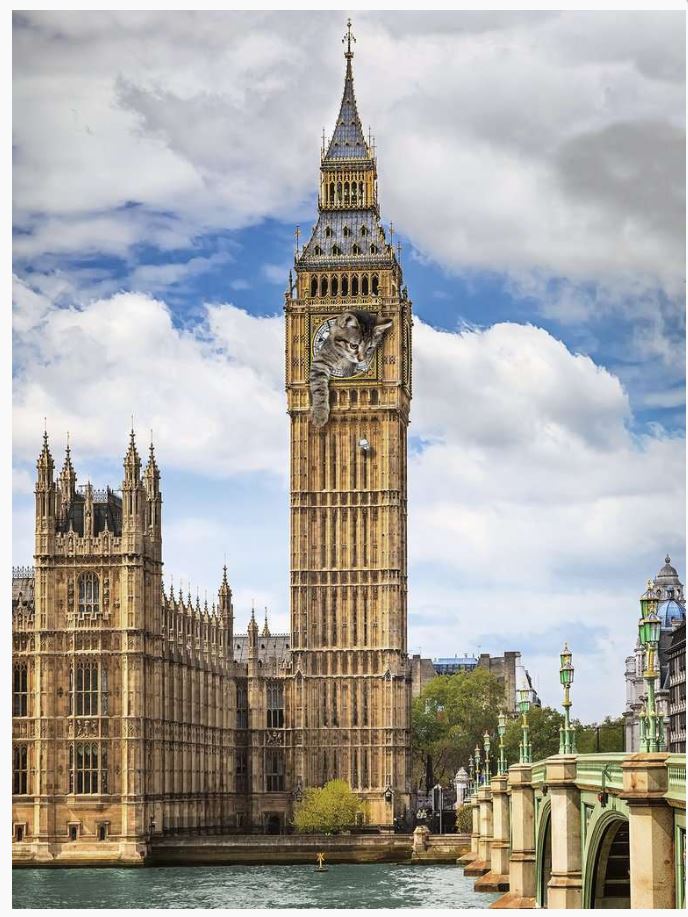 Ravensburger Funny Cat On Big Ben 1500 Piece