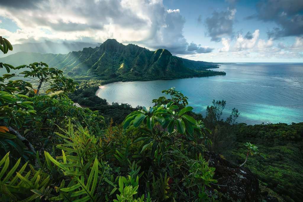 Ravensburger Hawaiian Viewpoint 5000 Piece