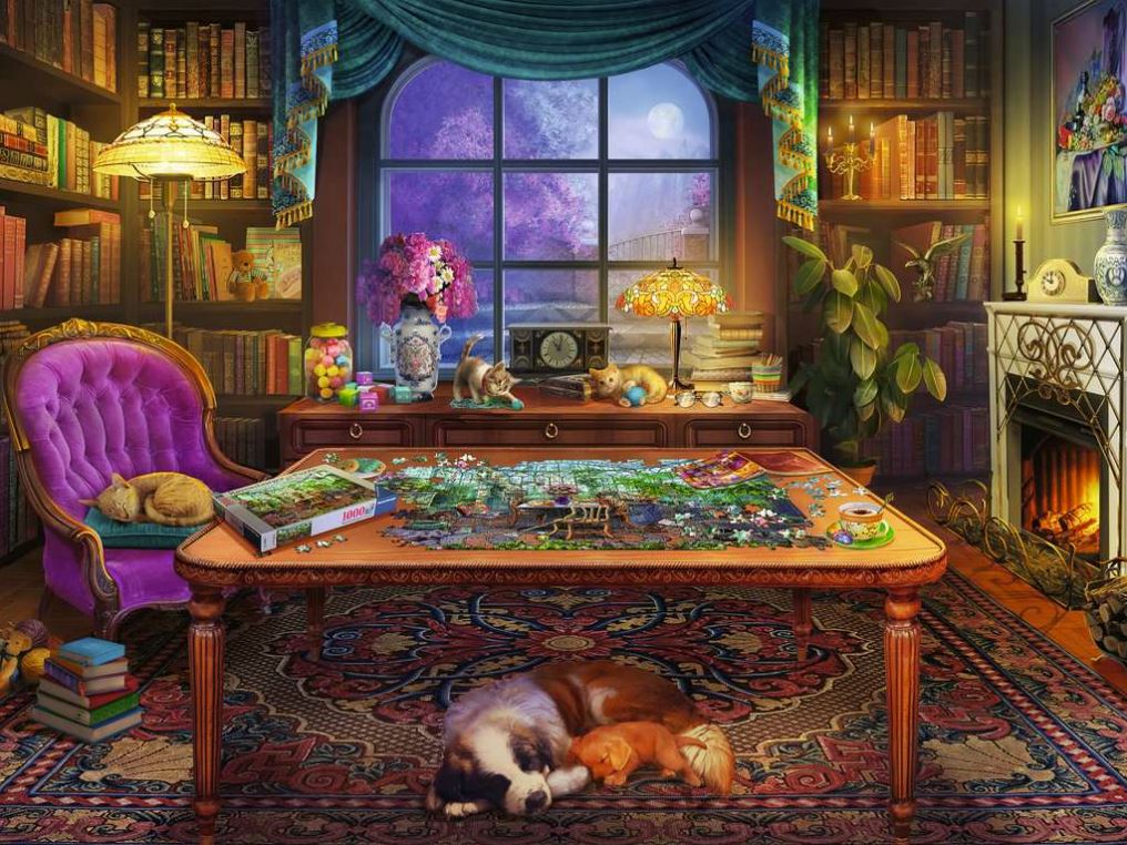 Ravensburgerrs Place 750 Piece