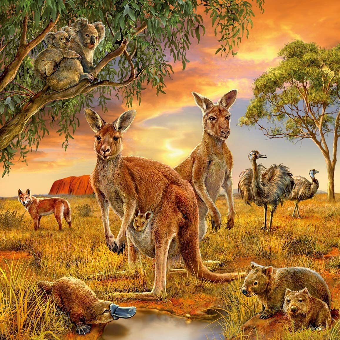 Ravensburger Animals Of The Earth 3x49 Piece