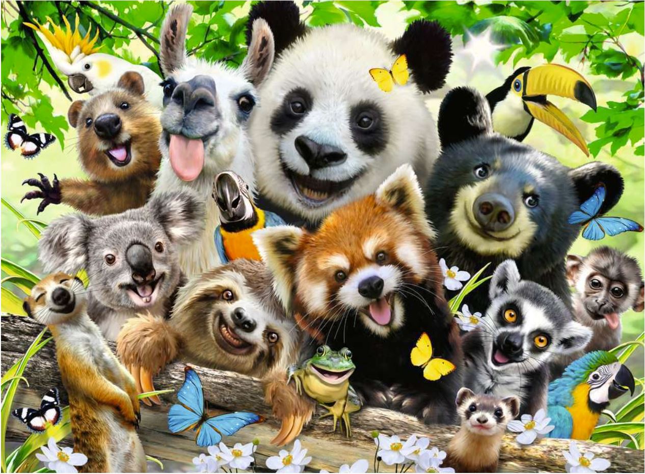 Ravensburger Wildlife Selfie 300 Piece - Toyworld Australia