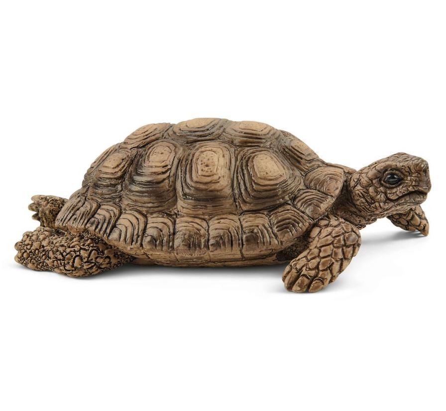 SchleichTortoise Home Set