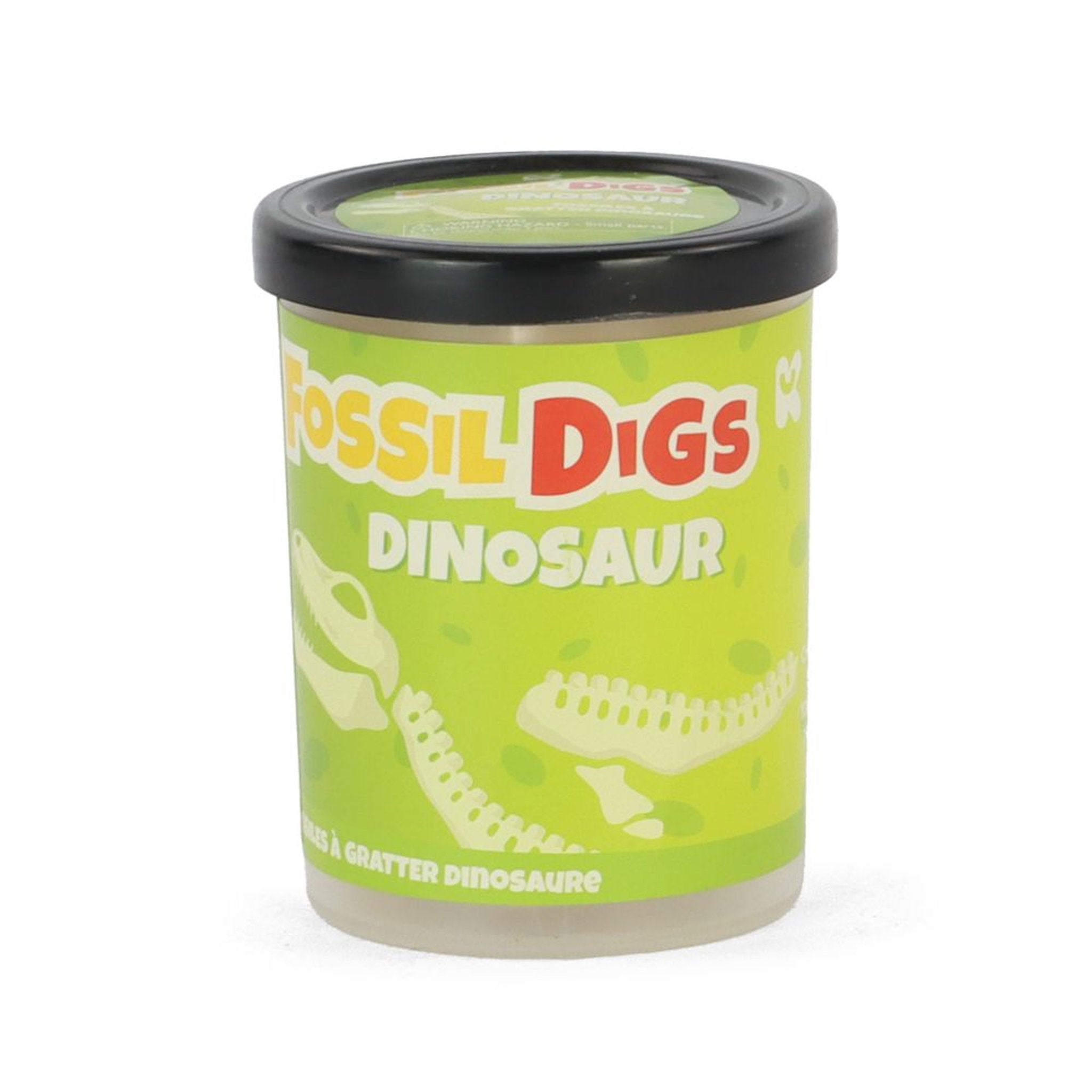 Fossil Dig In Tub Assorted Styles