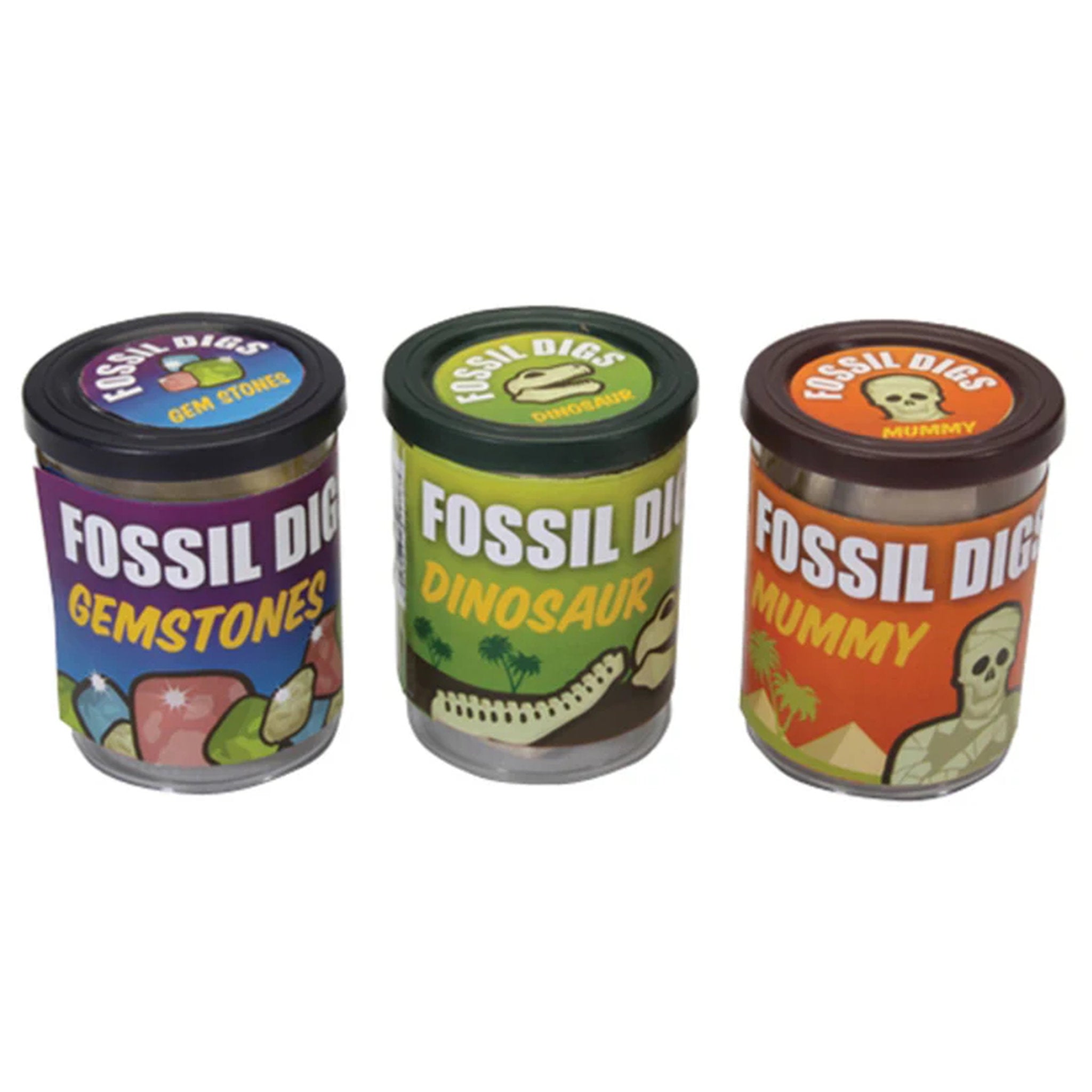 Fossil Dig In Tub Assorted Styles