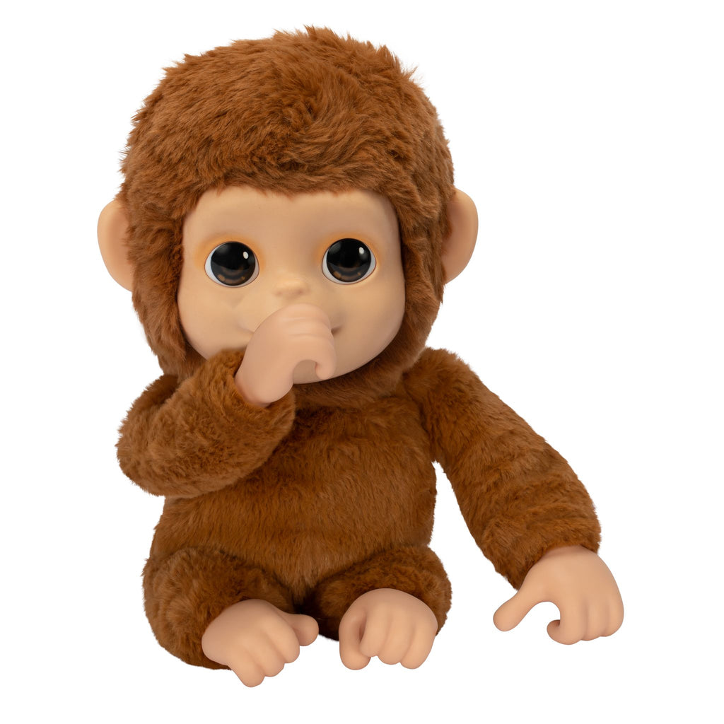 Mini Monkney Little Live Pets My Baby Monkey – Toyworld Australia