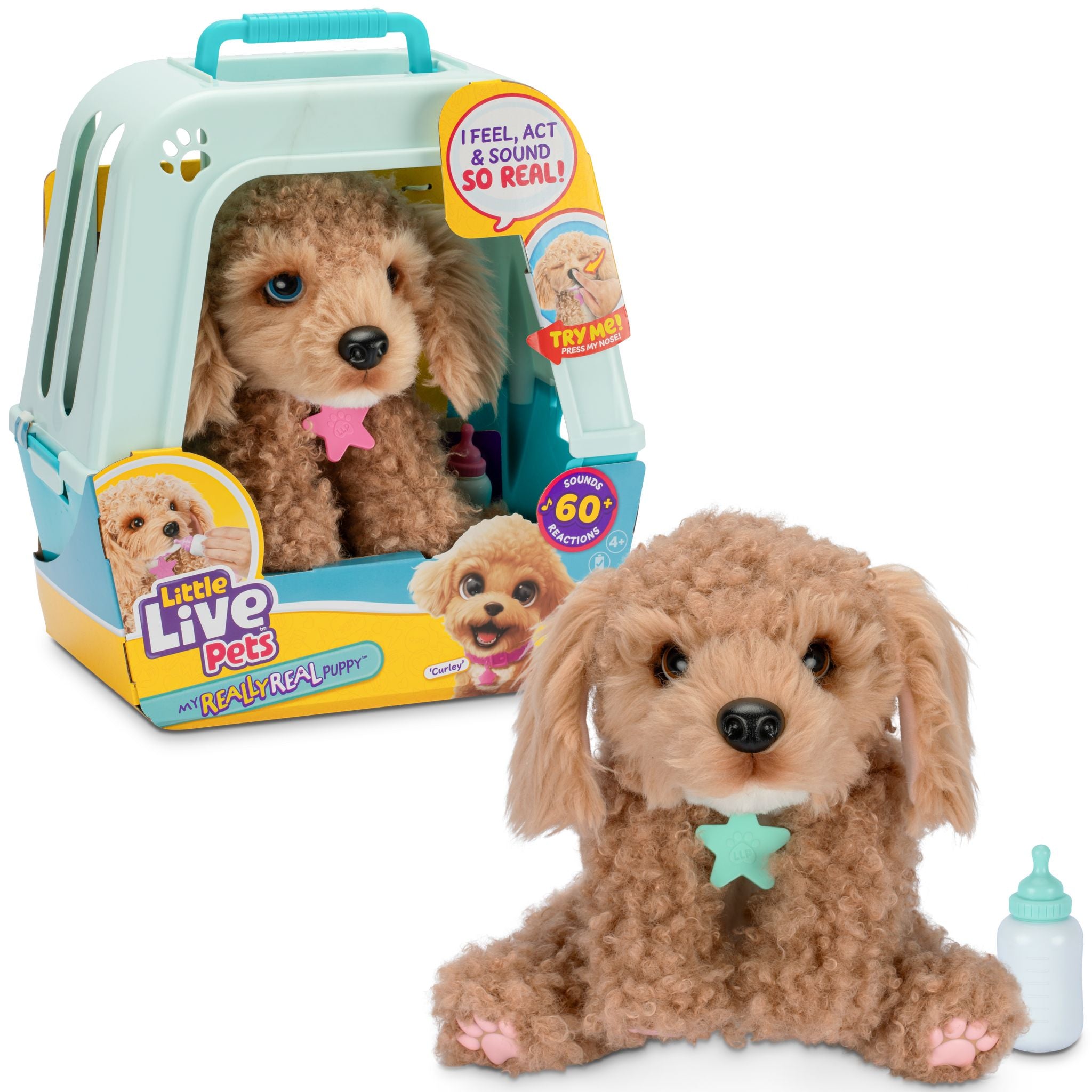 Little Live Pets My Really Real Puppy Curley Toyworld Australia little-live-pets-my-really-real-puppy-curley-toyworld-australia