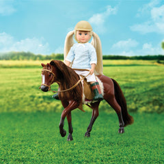 LORI BROWN AMERICAN QUARTER HORSE
