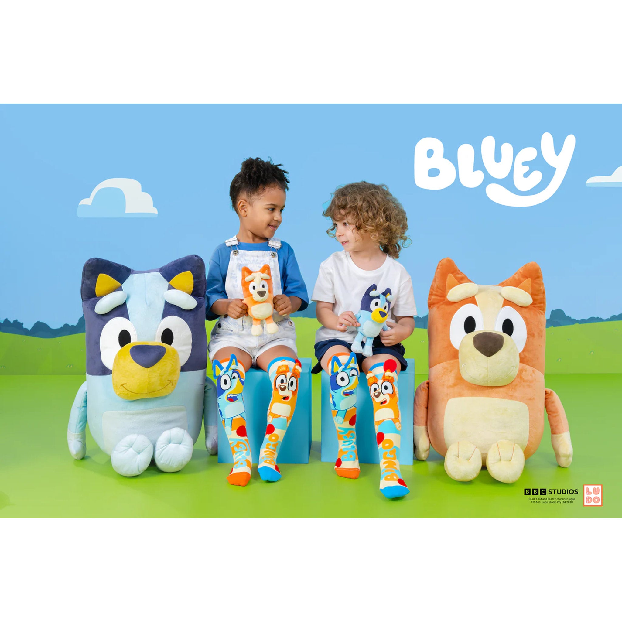 MADMIA Bluey Toddler Socks
