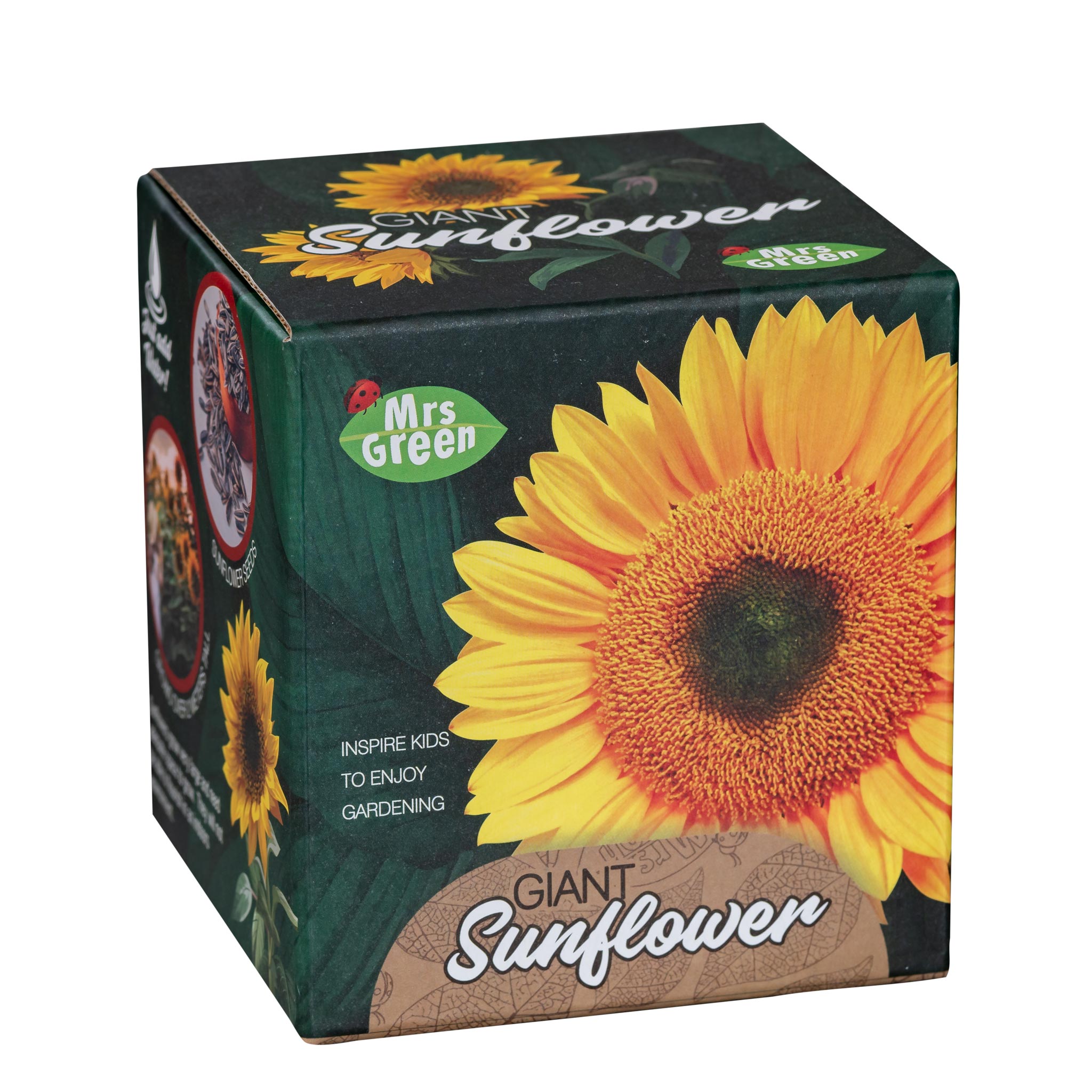 Mrs Green Giant Sunflower