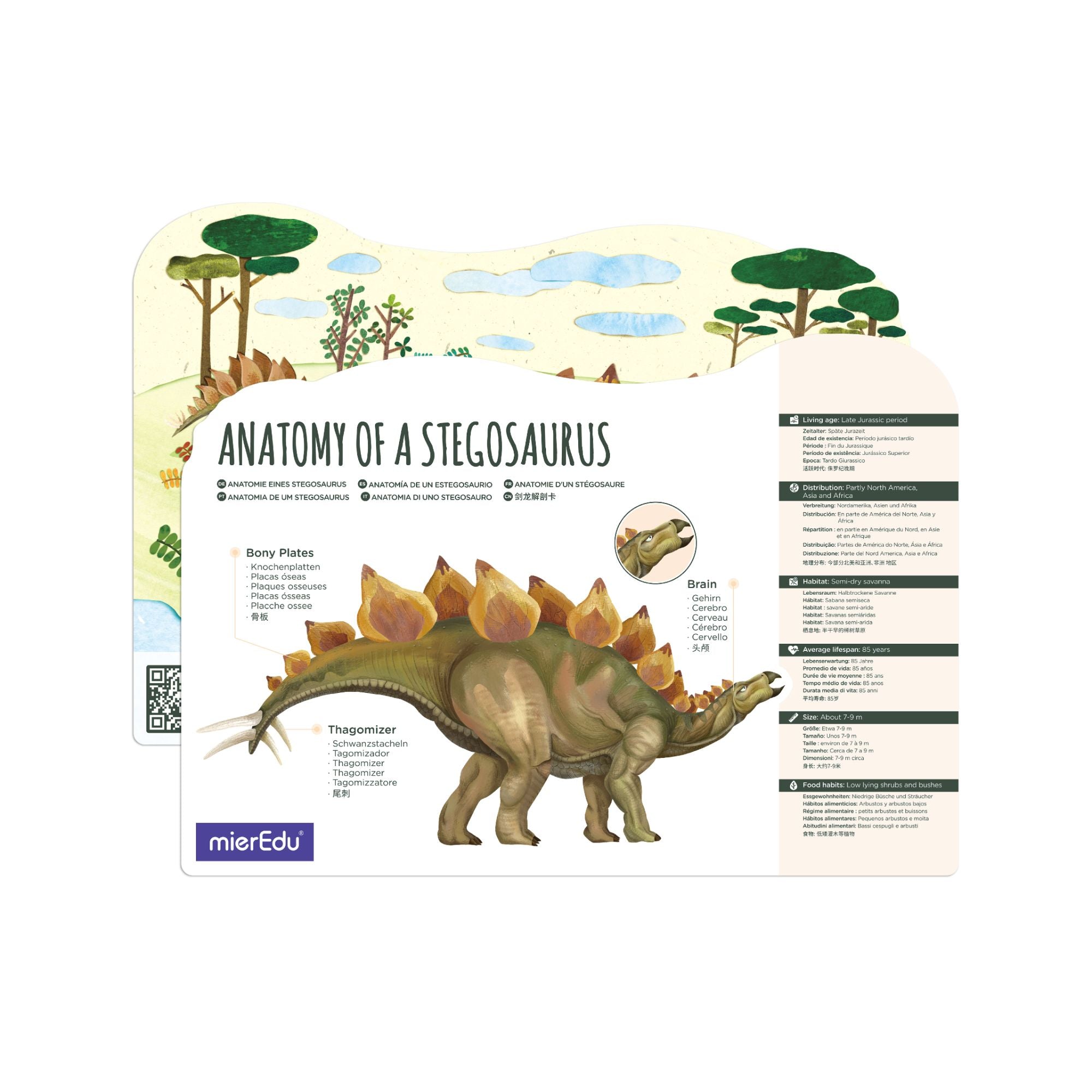 MierEdu Adjustable 3D Puzzle Stegosaurus