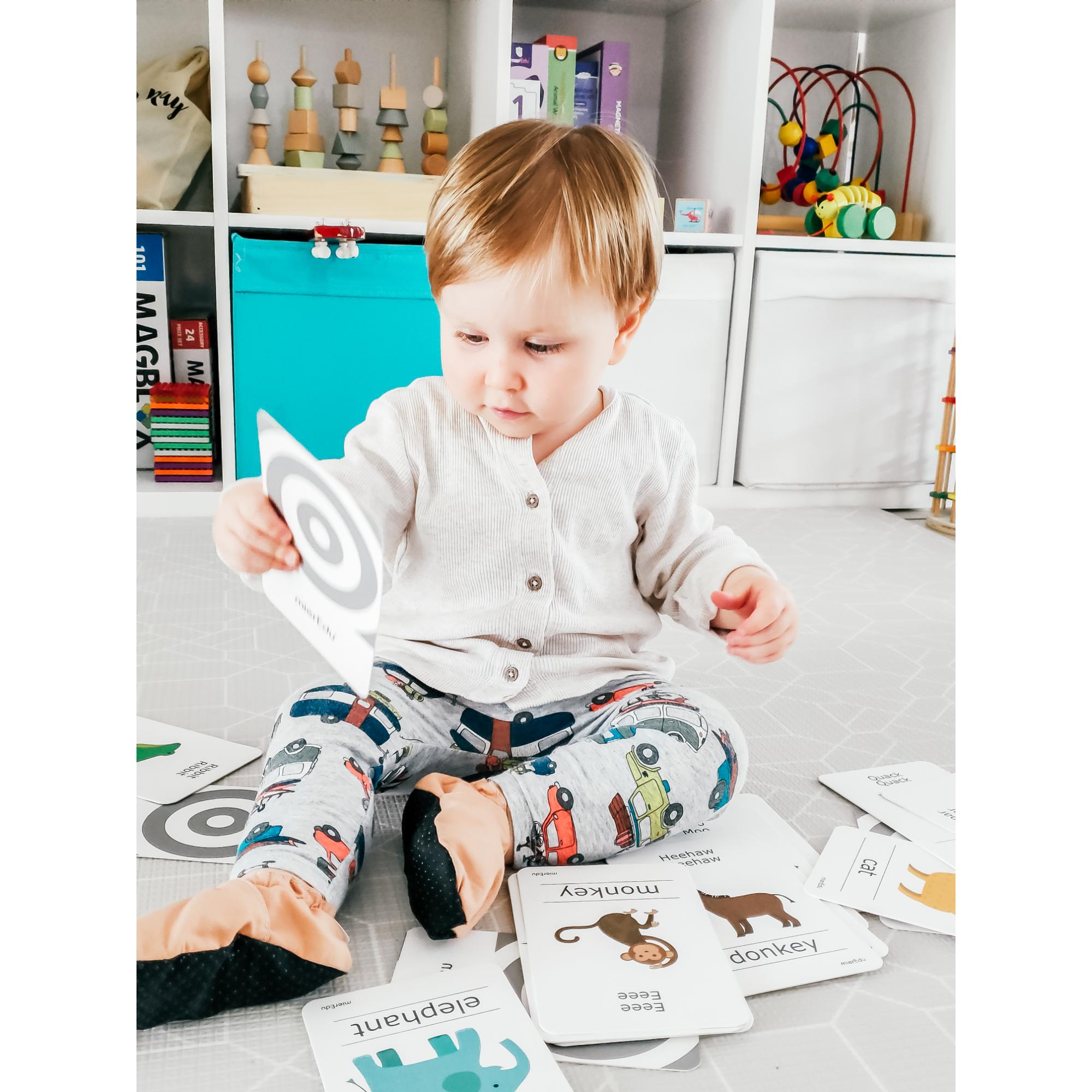 MierEdu Cognitive Flash Cards - Animal Sounds