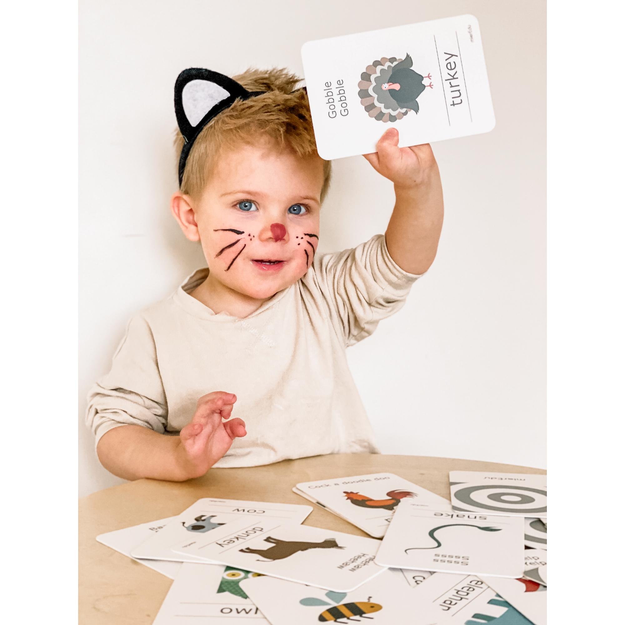 MierEdu Cognitive Flash Cards - Animal Sounds