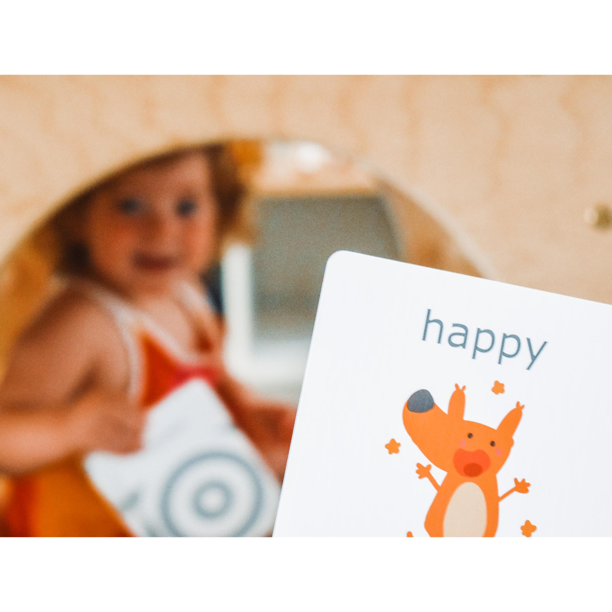 MierEdu Cognitive Flash Cards - Feelings & Emotions