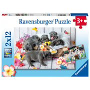 Ravensburger Cute Little Furballs 2x12 Piece